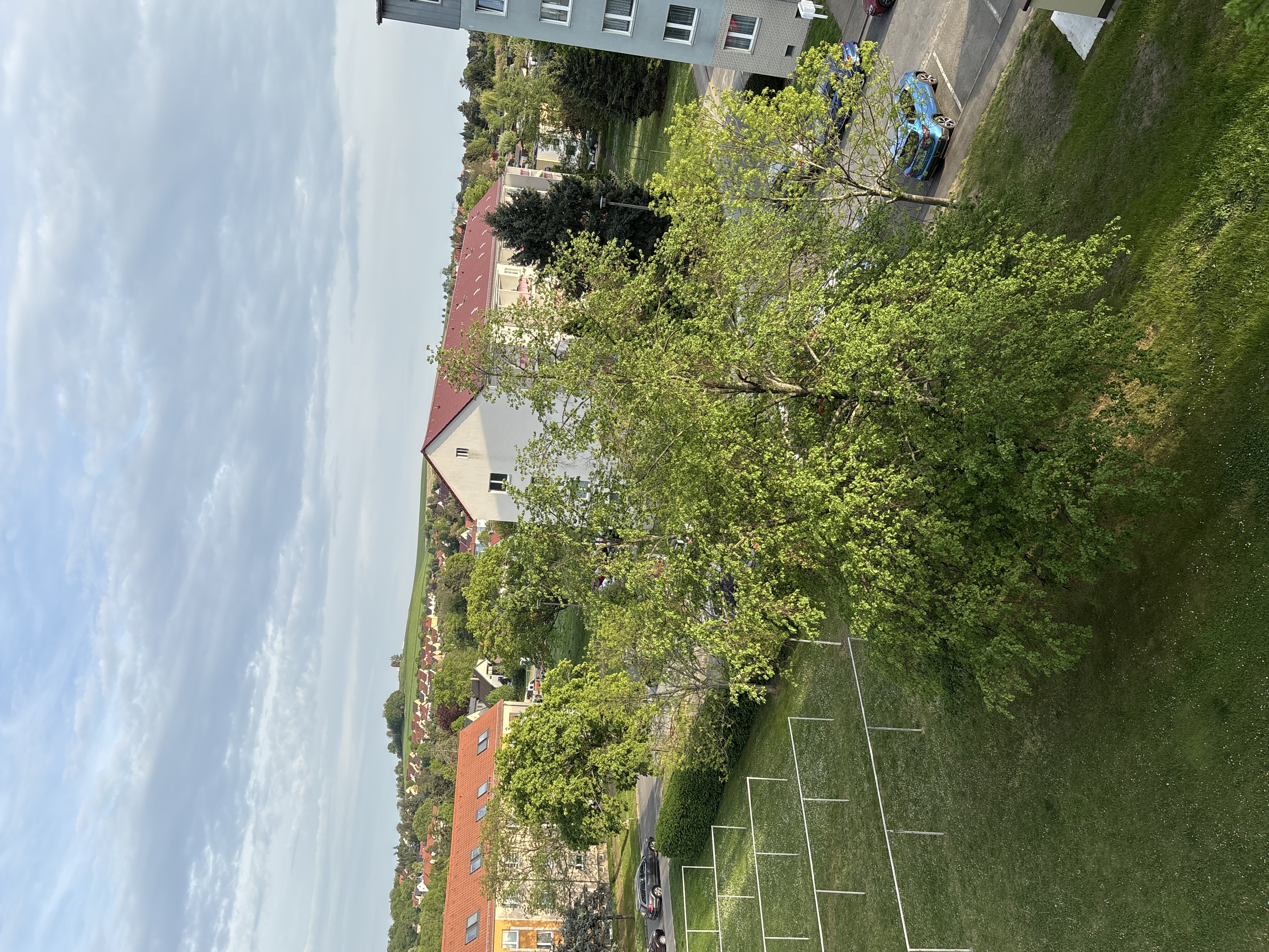 image-14