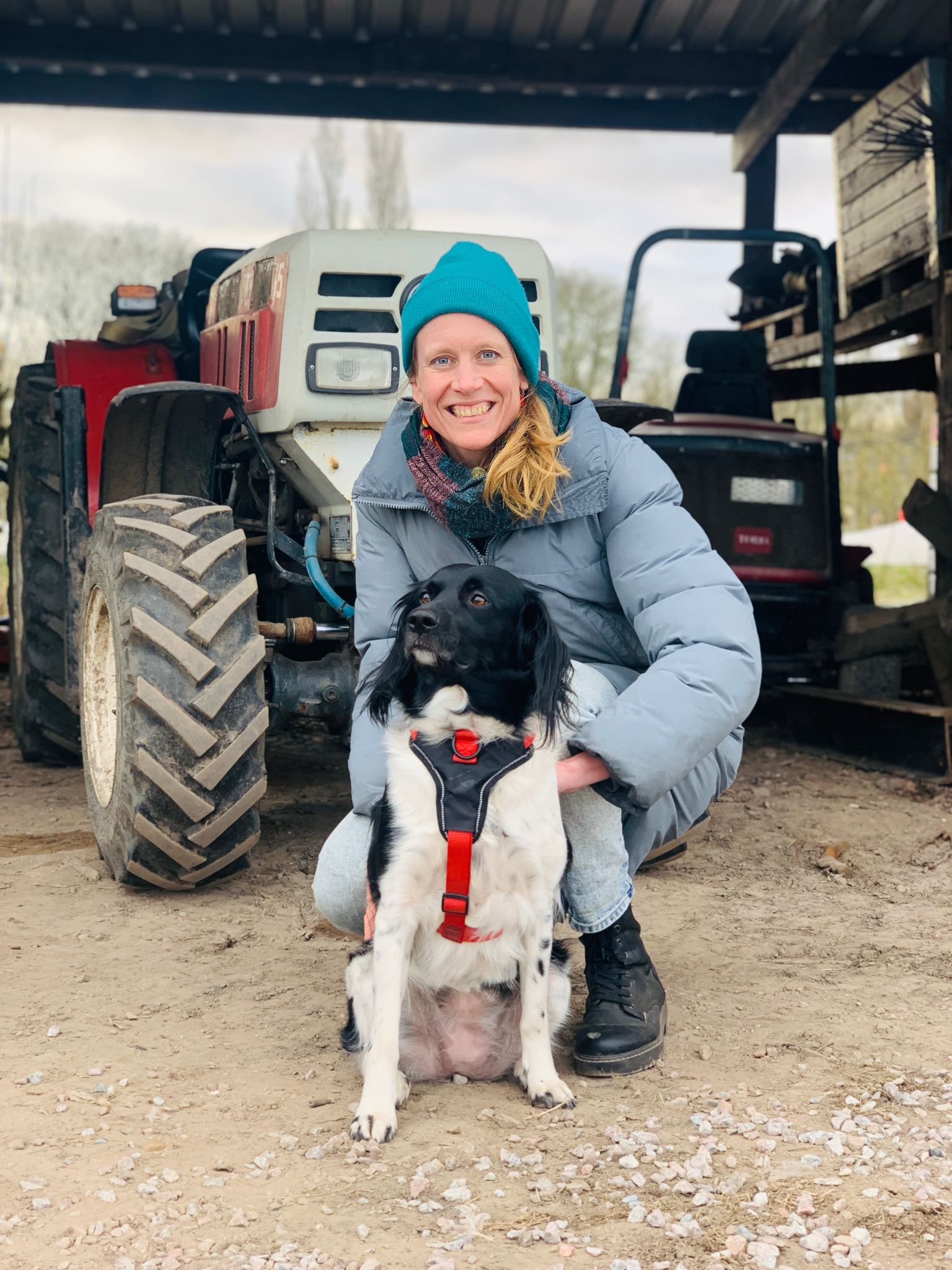 image-0