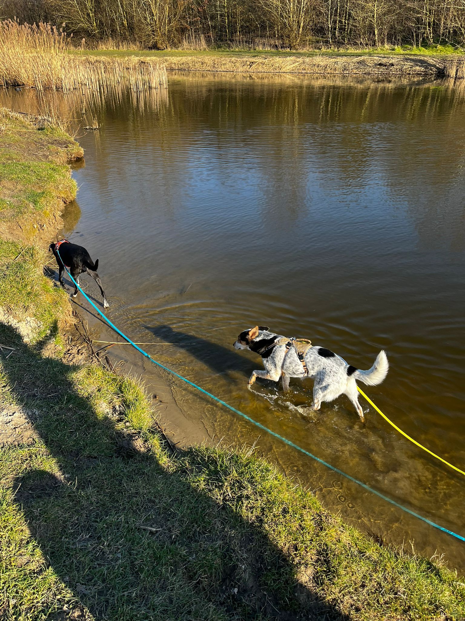 image-9