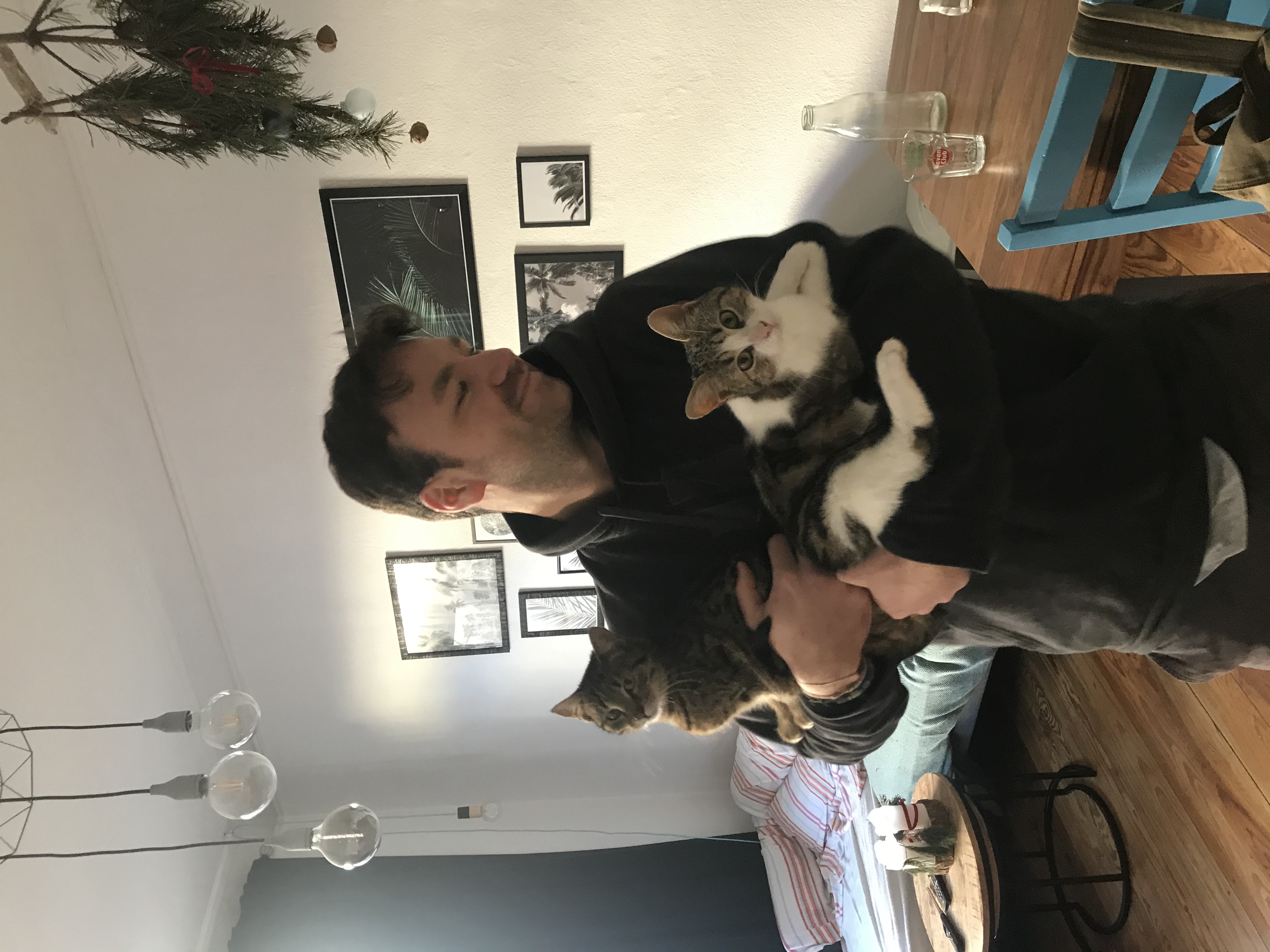image-6