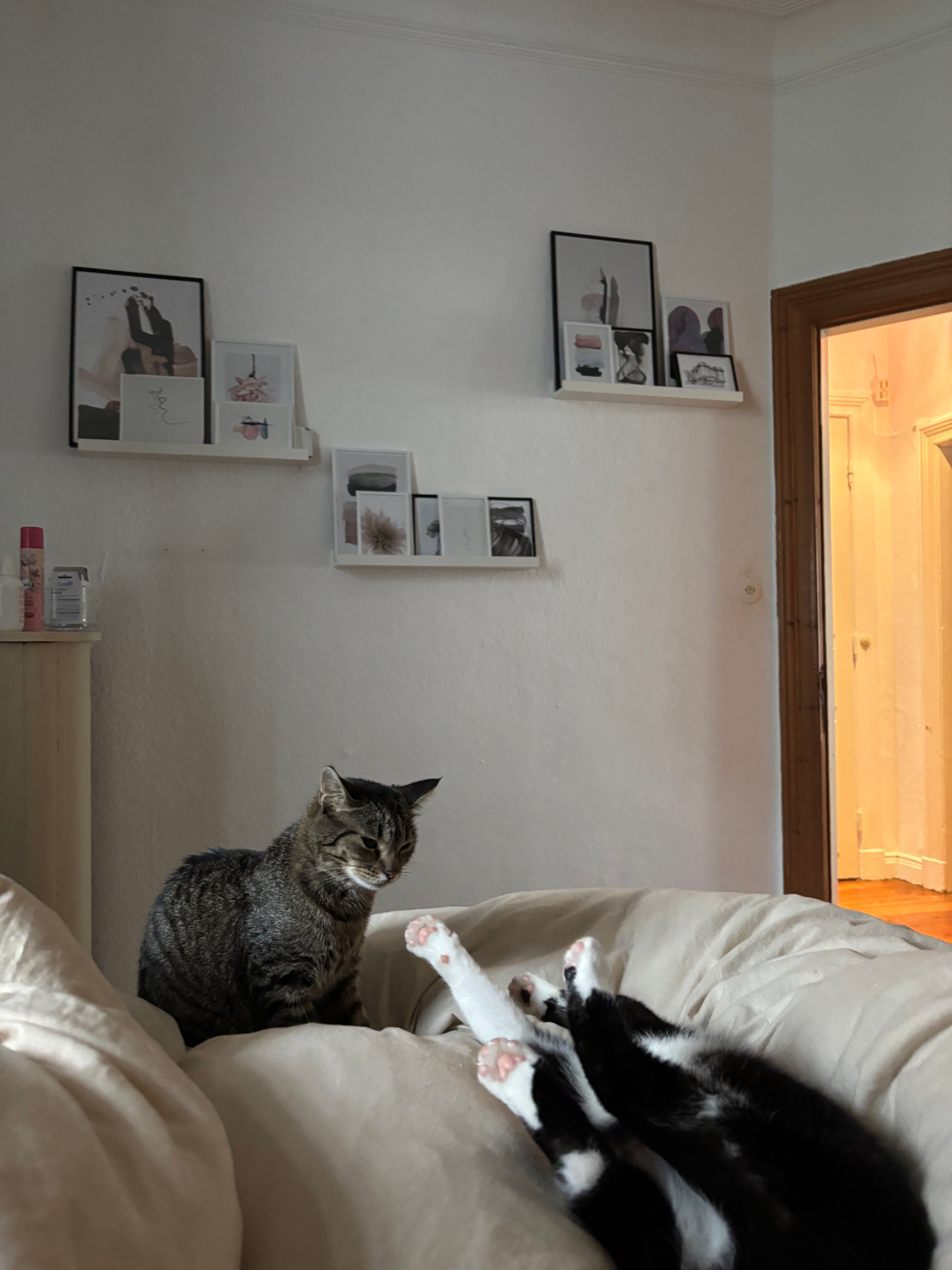 image-11