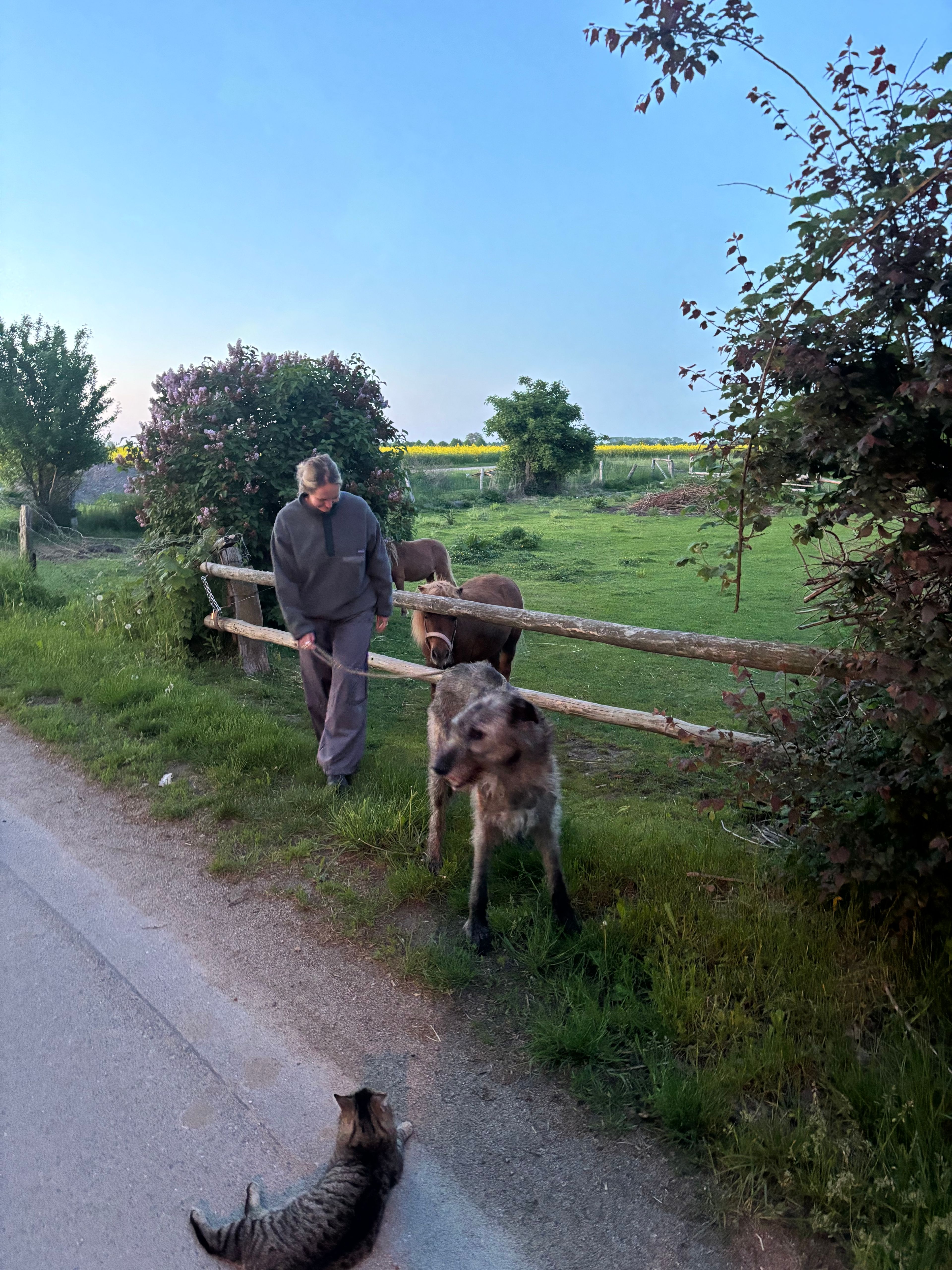 image-7
