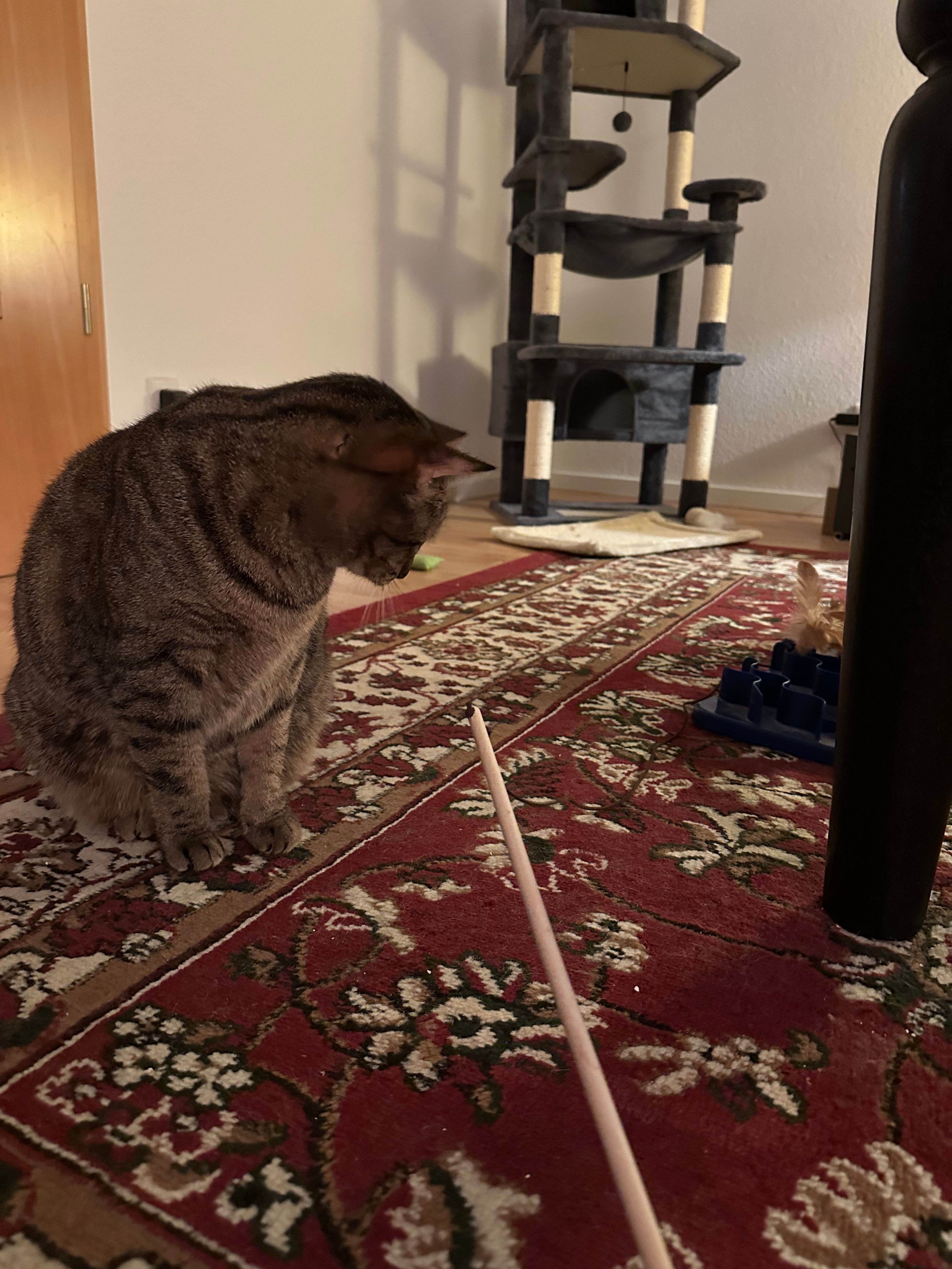 image-13