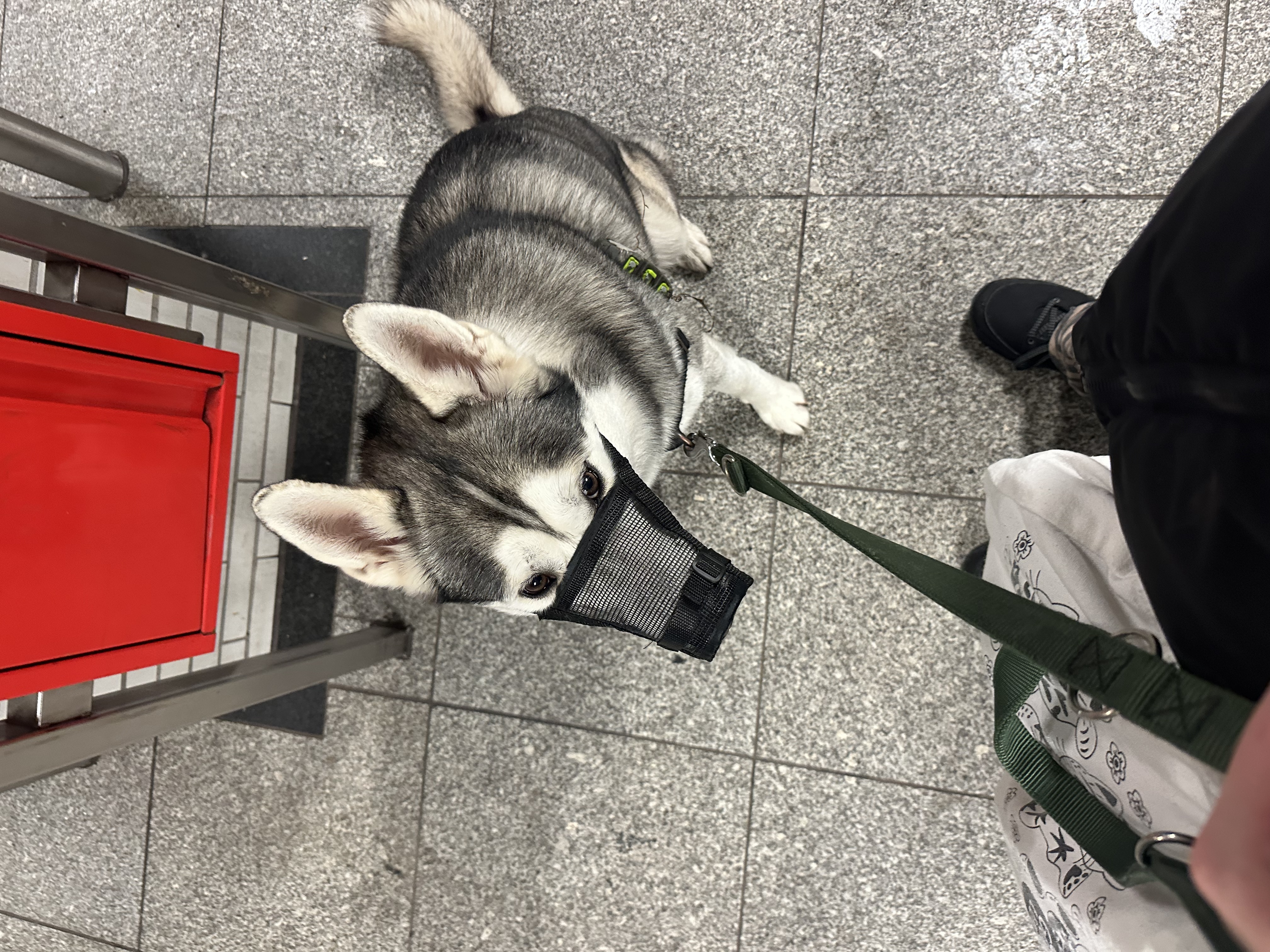 image-19
