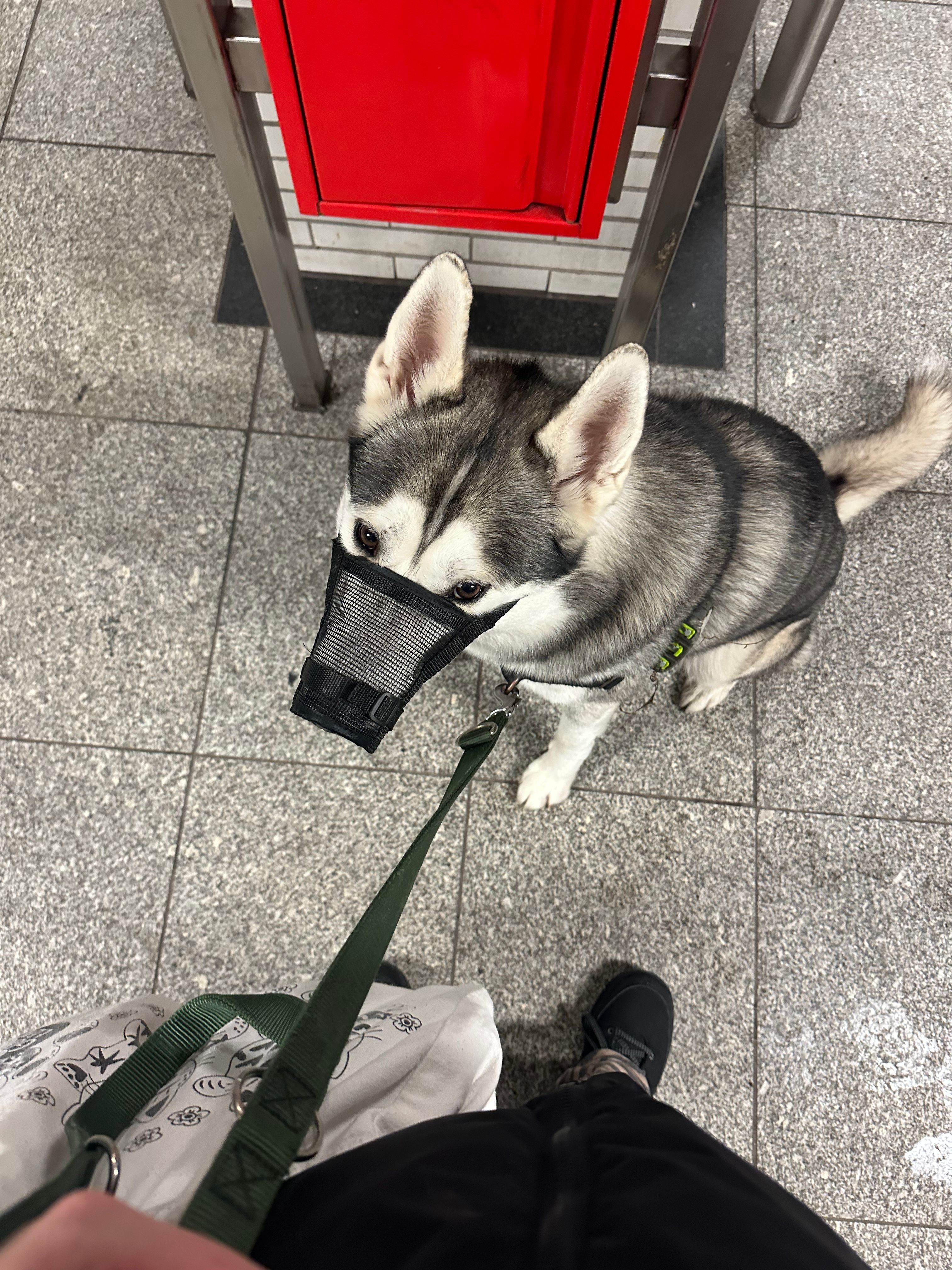 image-19