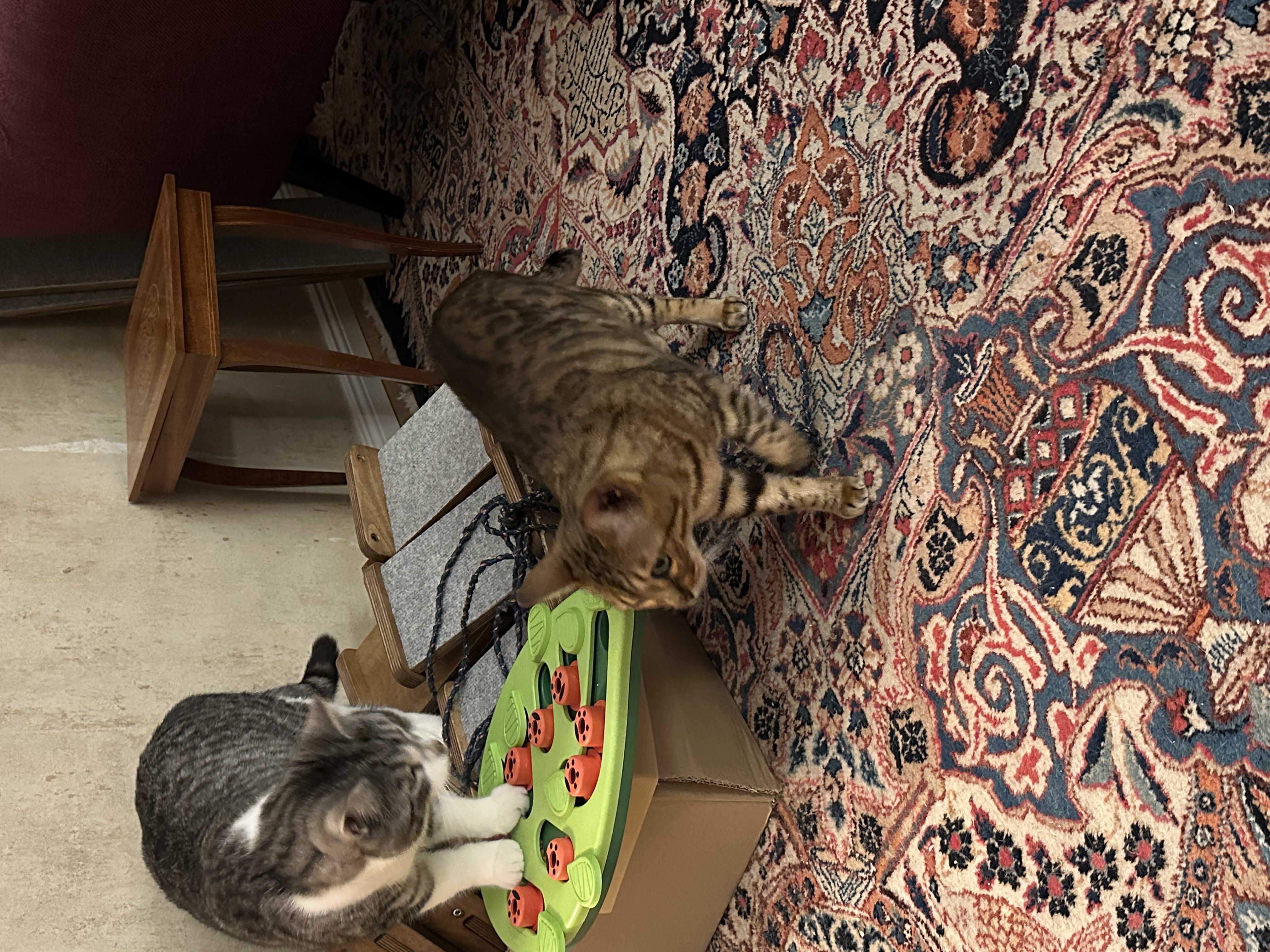 image-12