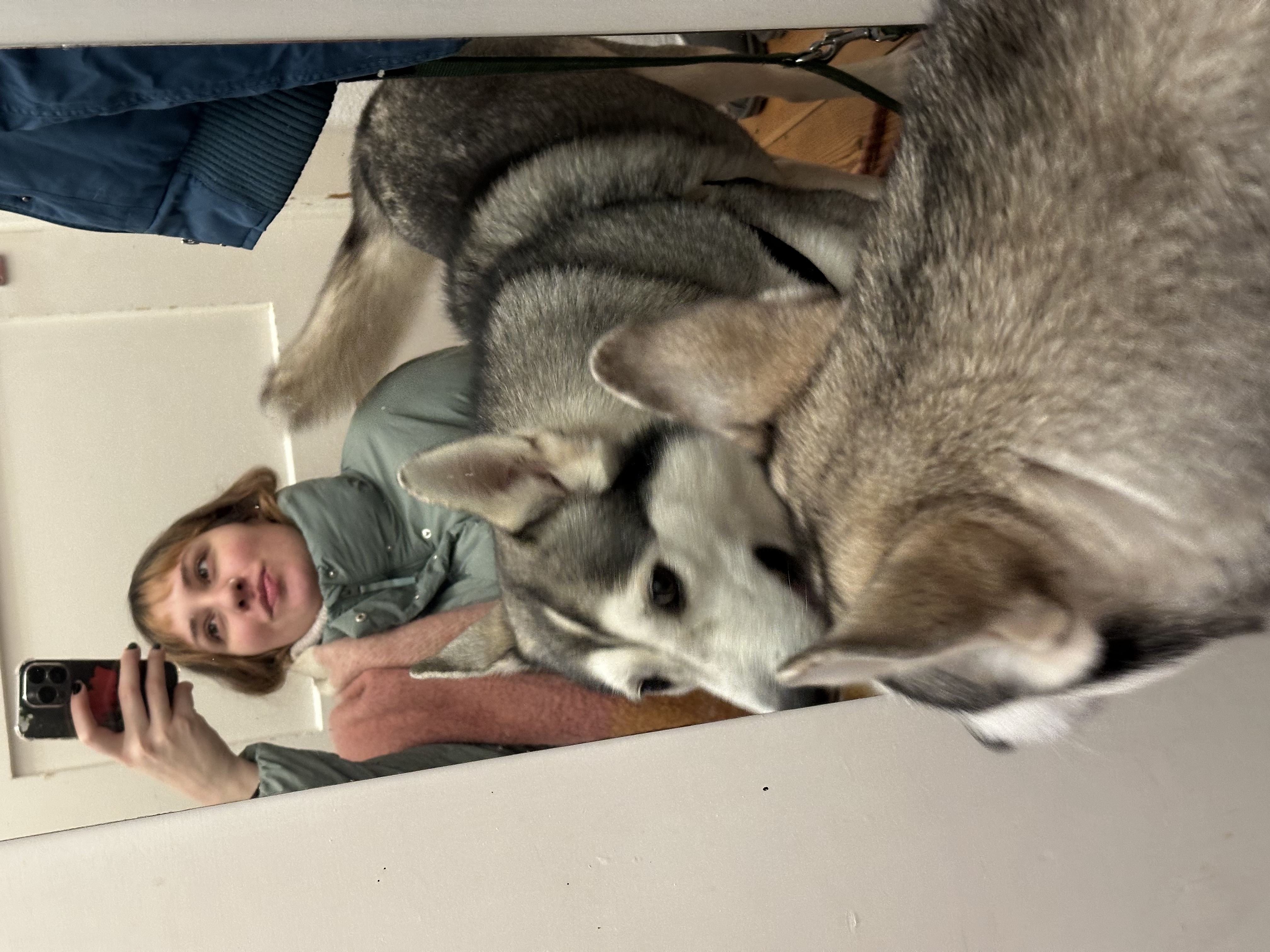 image-8