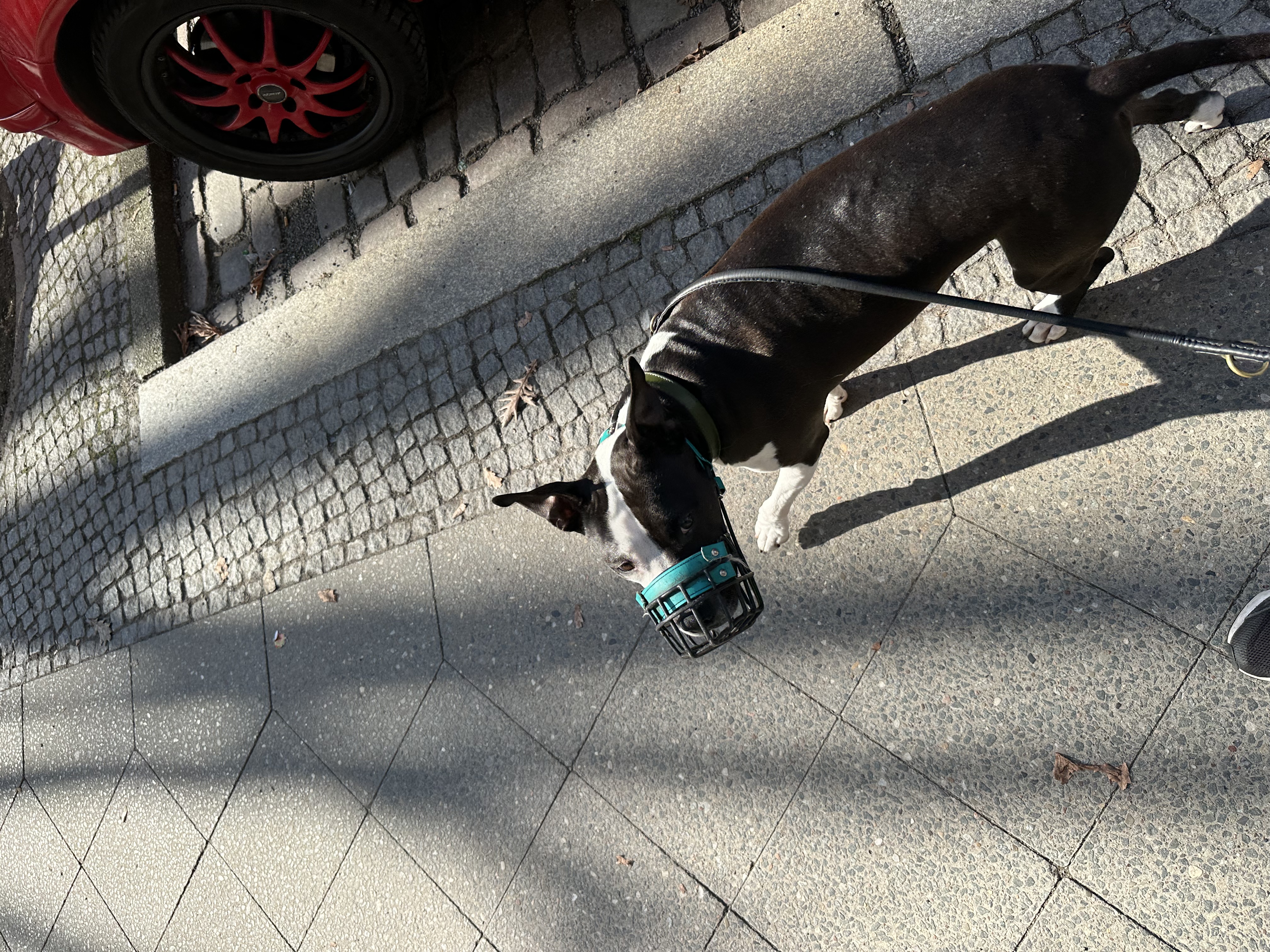 image-11