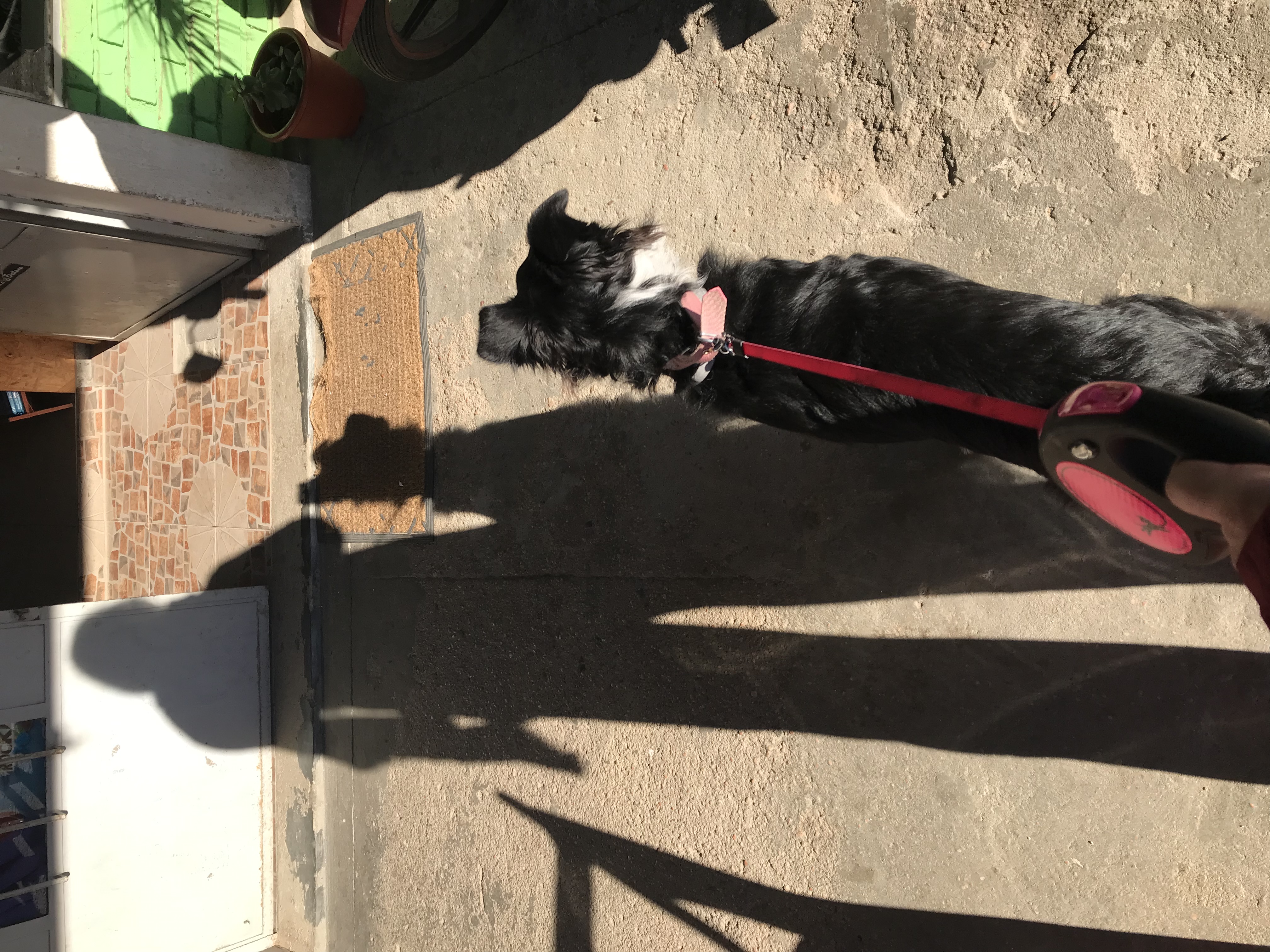 image-10