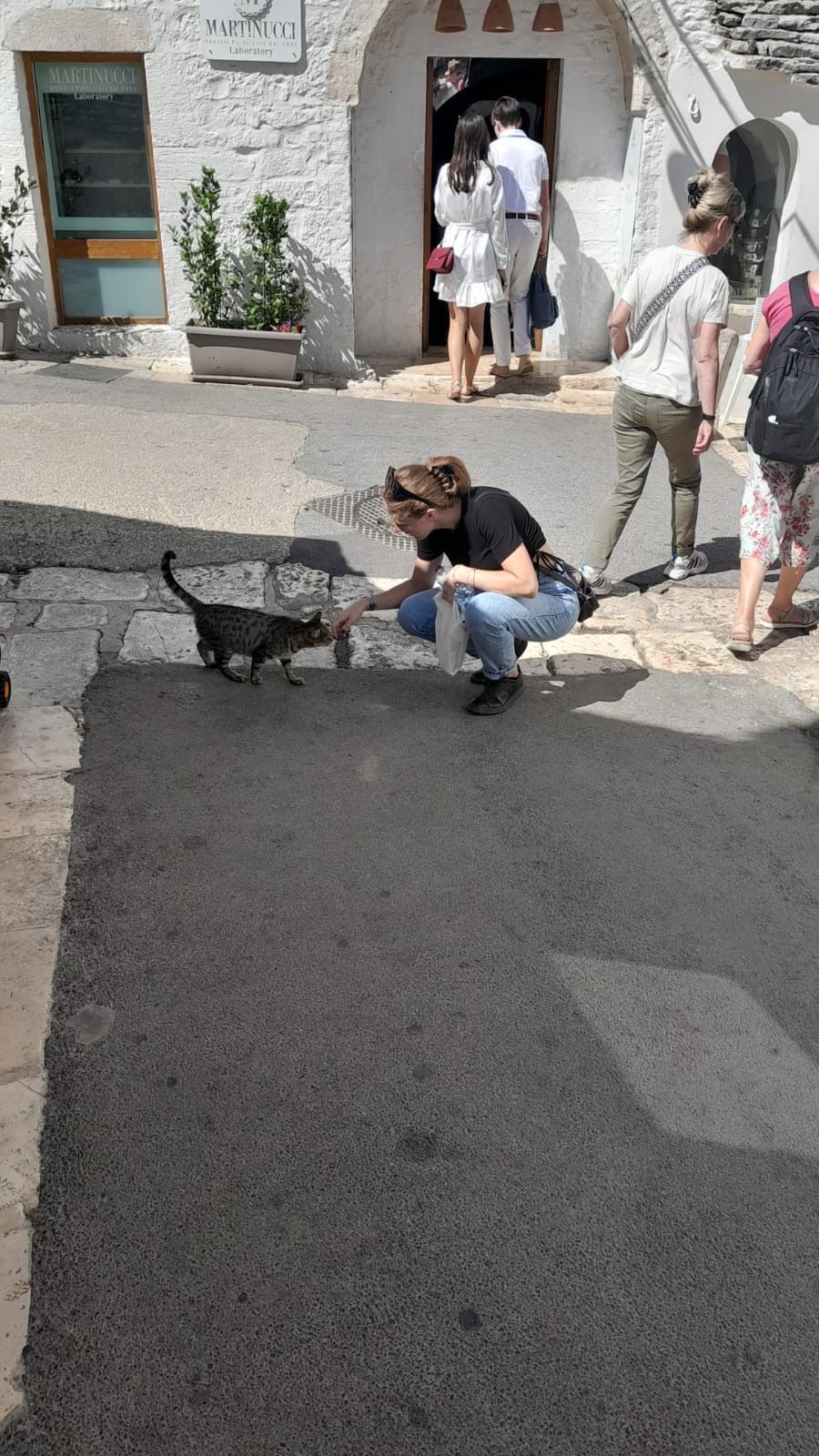 image-13