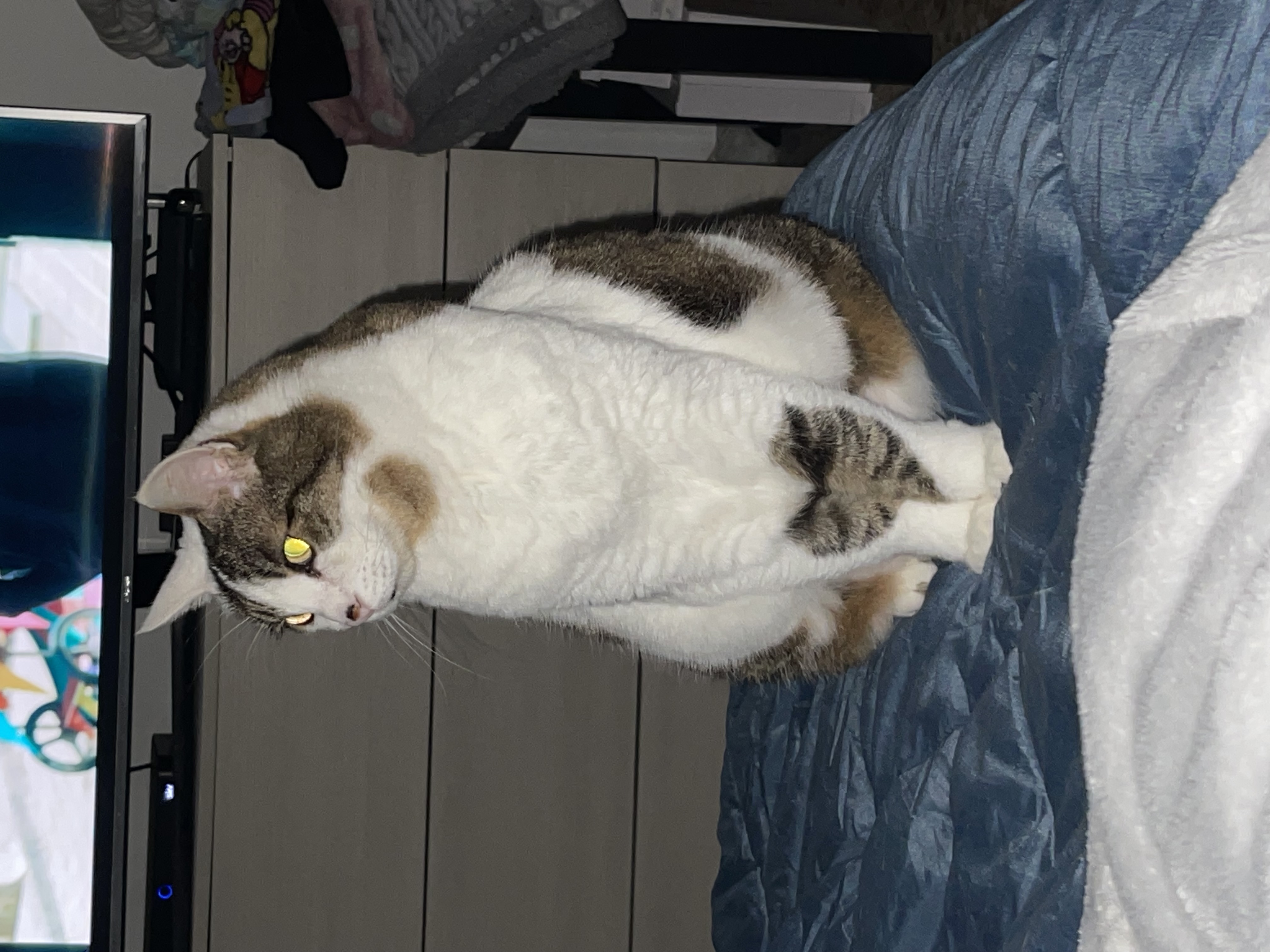 image-8