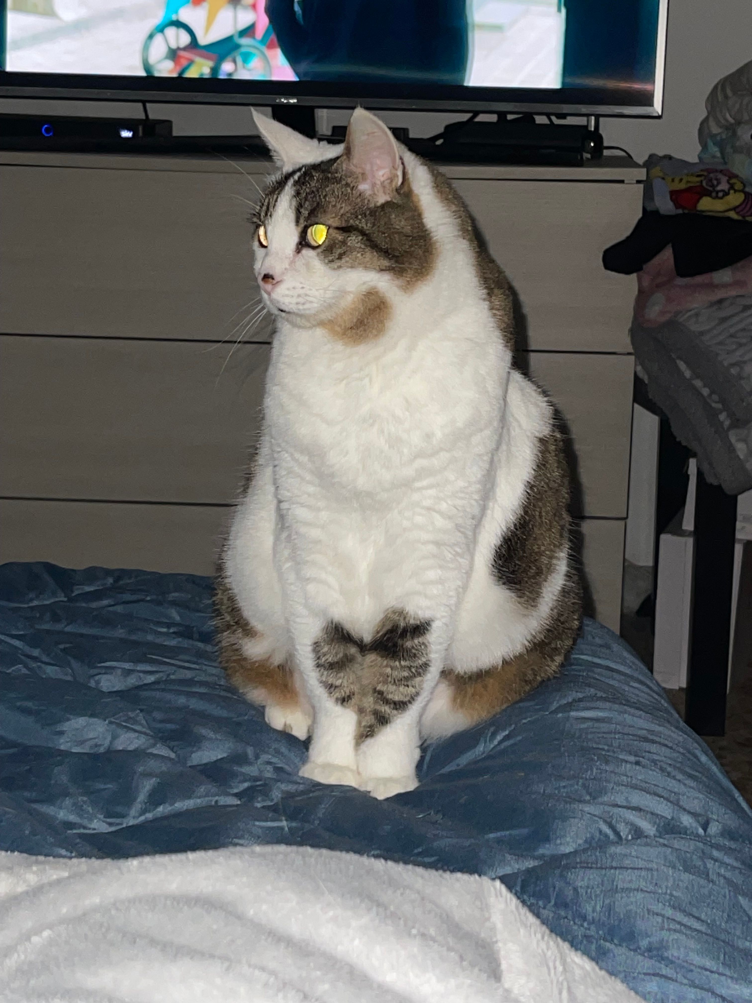 image-8
