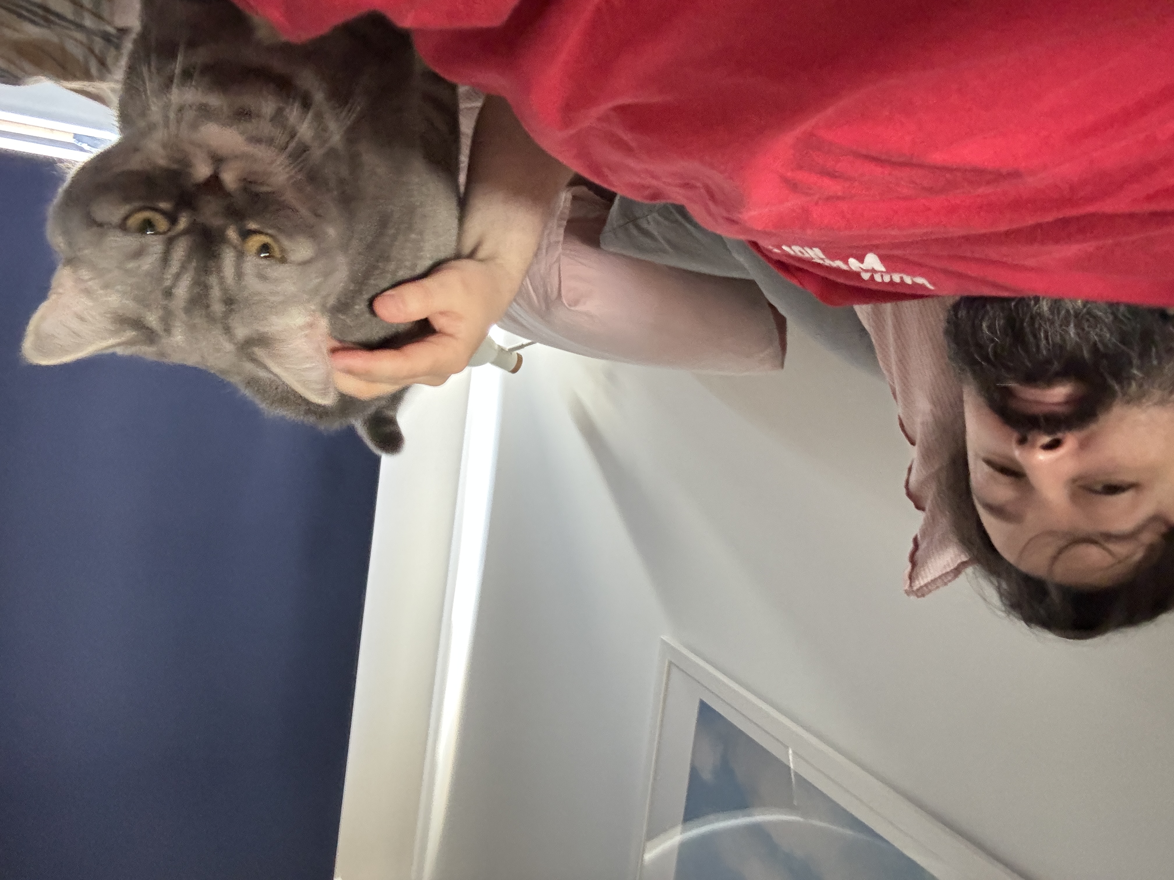 image-7