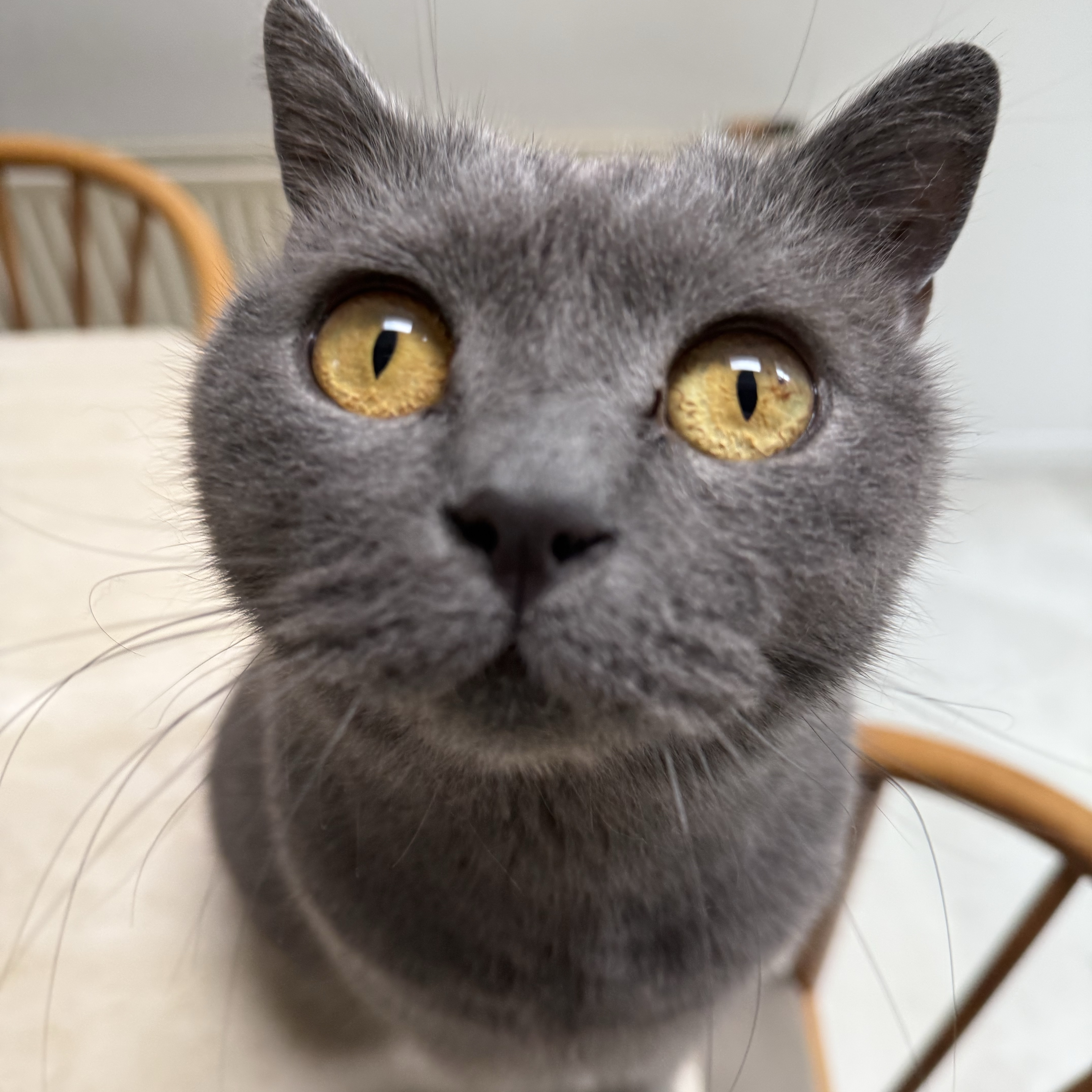 Mon
