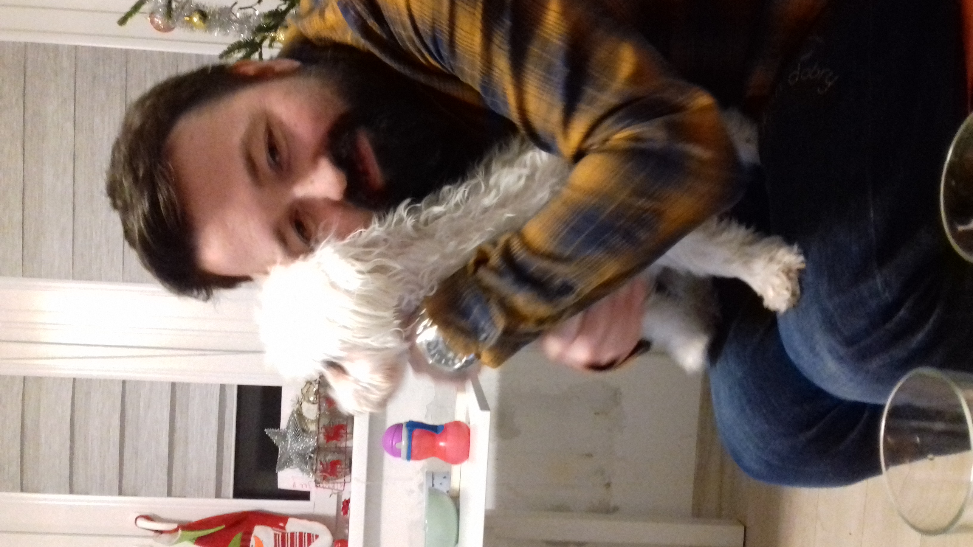 image-4
