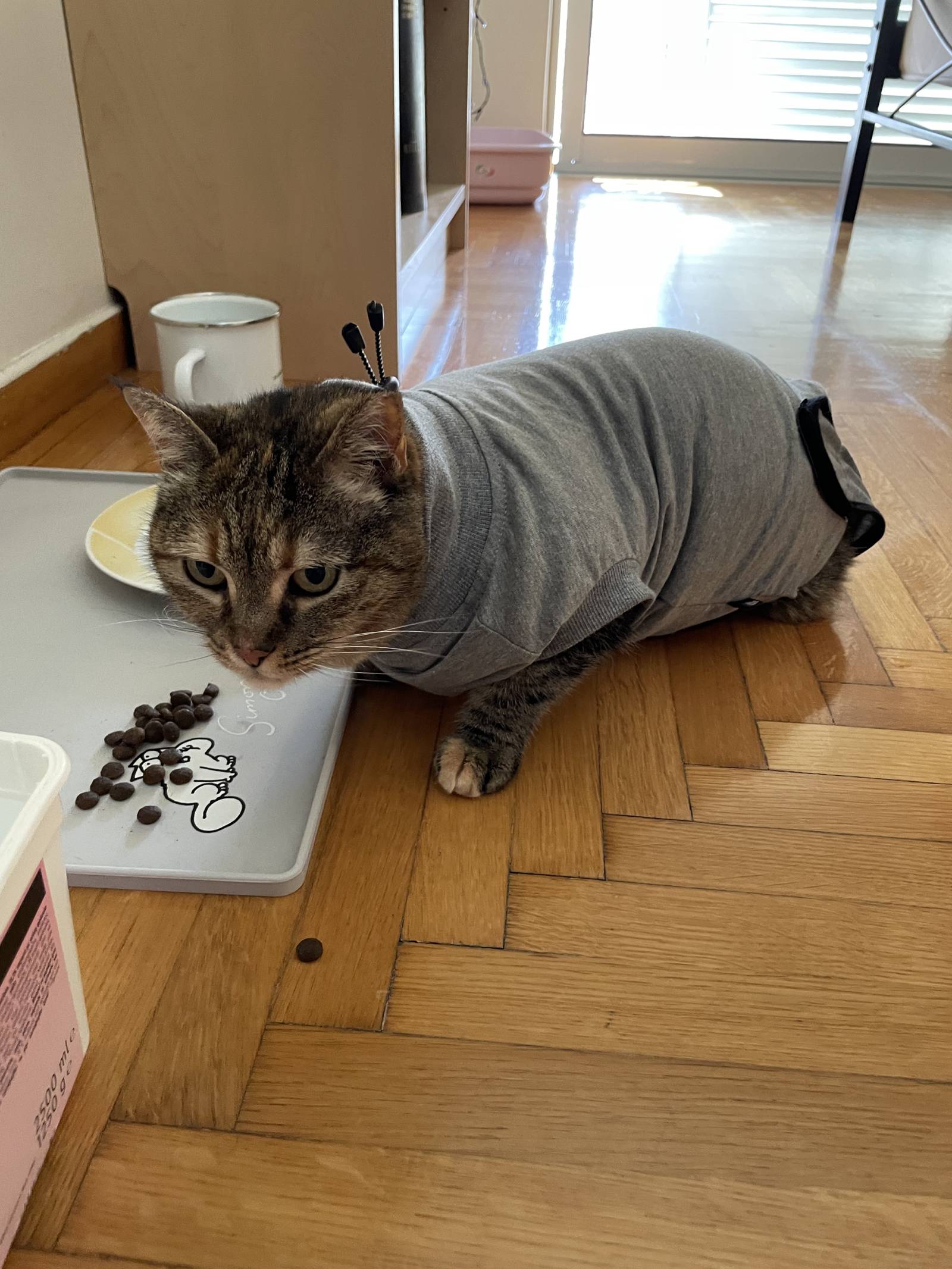 image-8