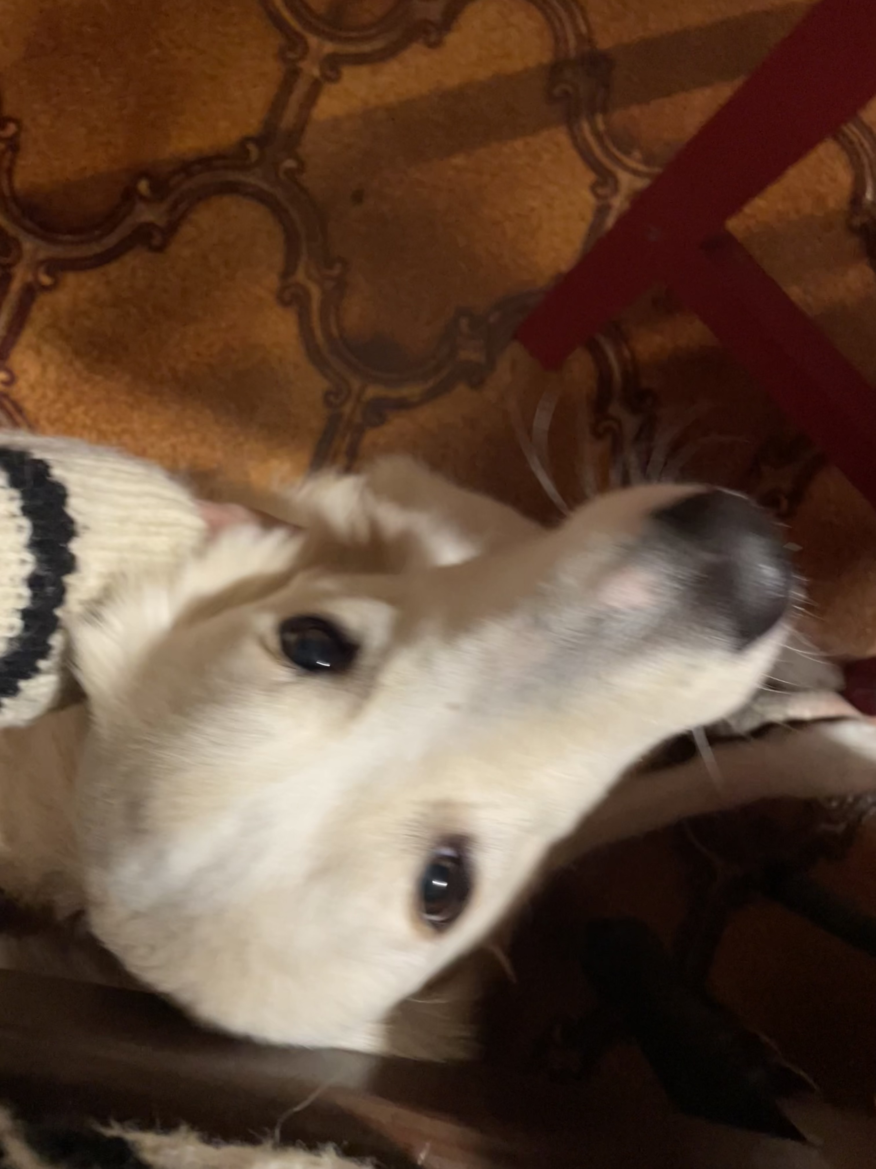 image-8