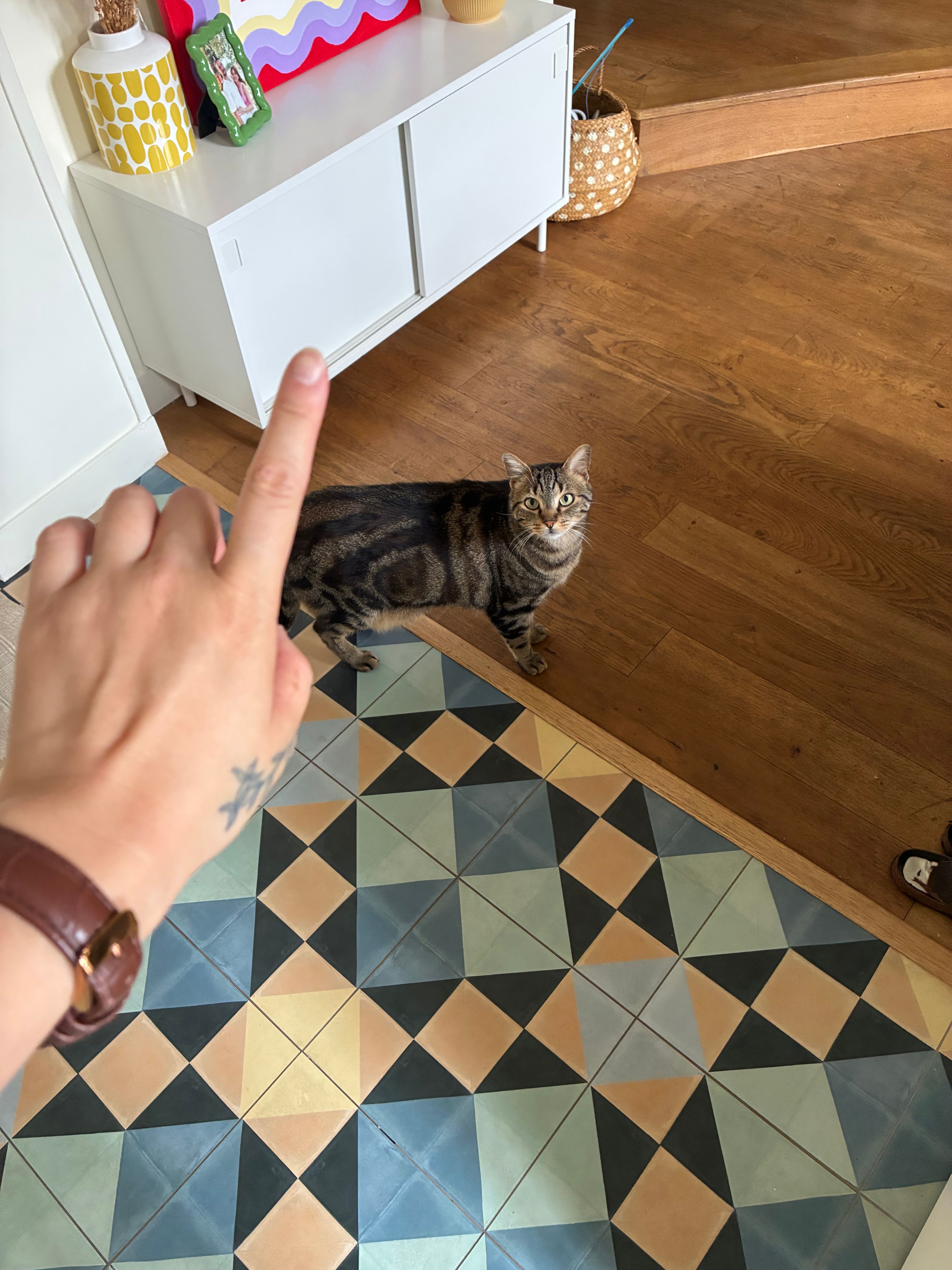 image-14