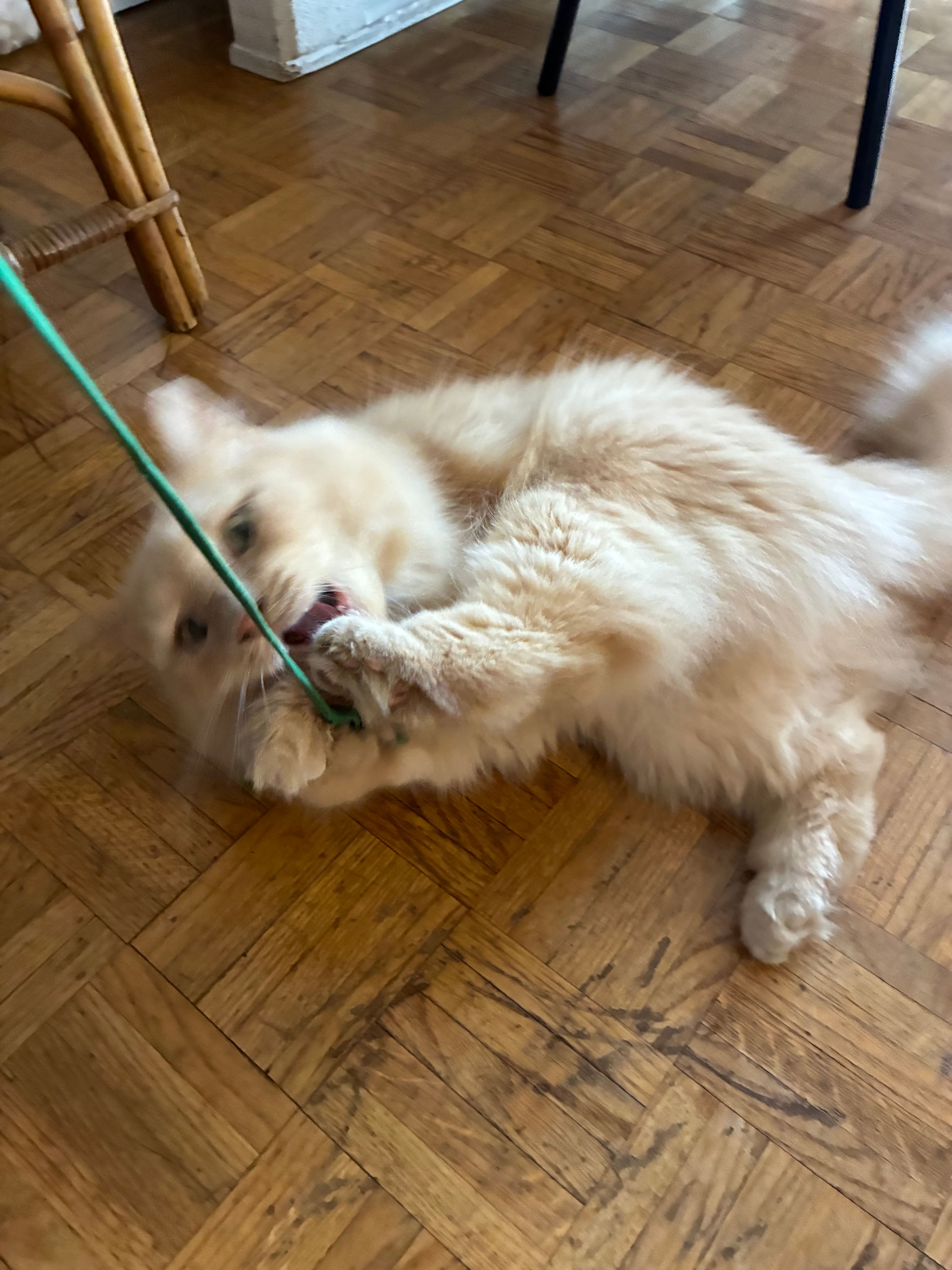 image-17
