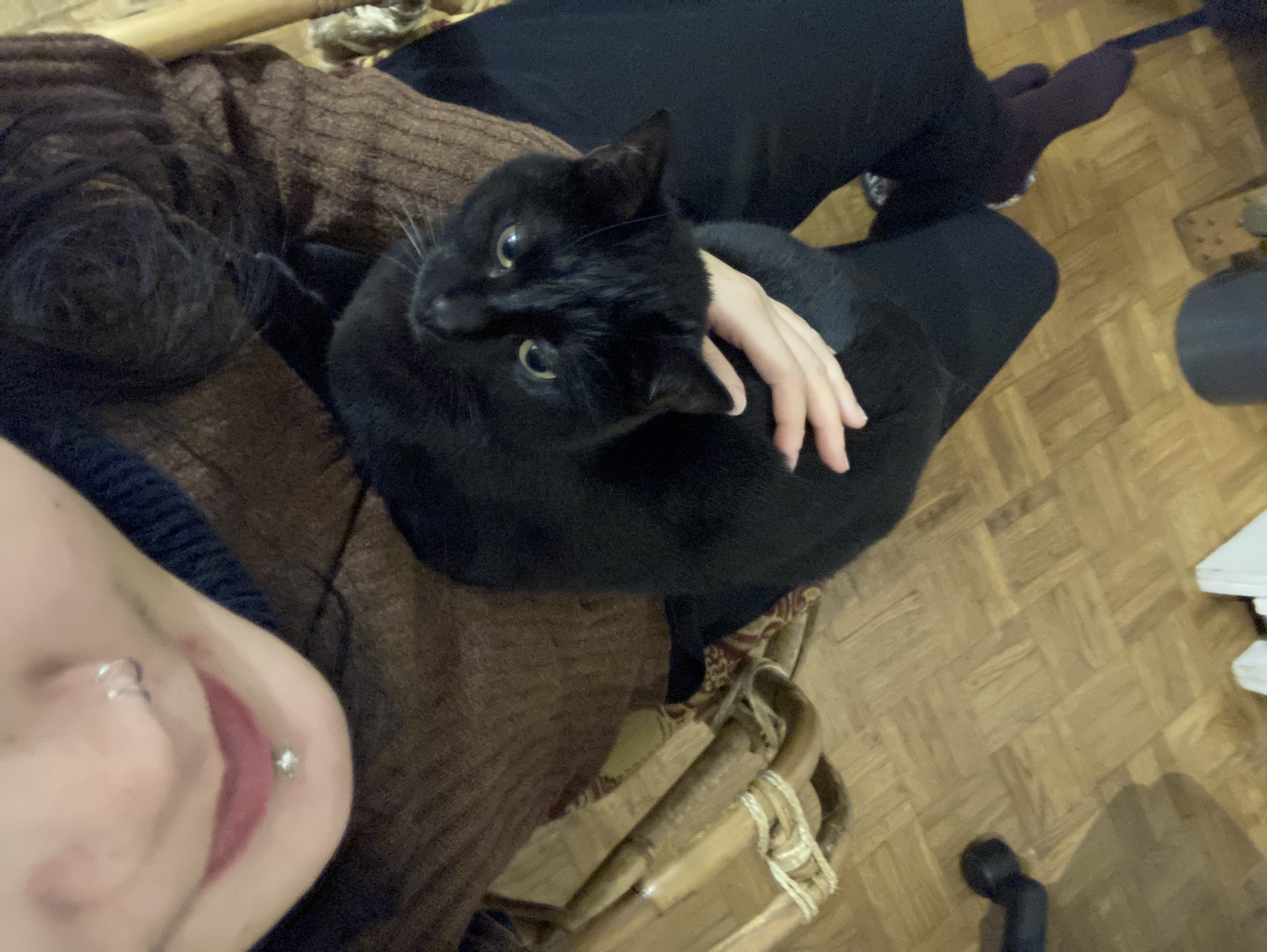 image-11