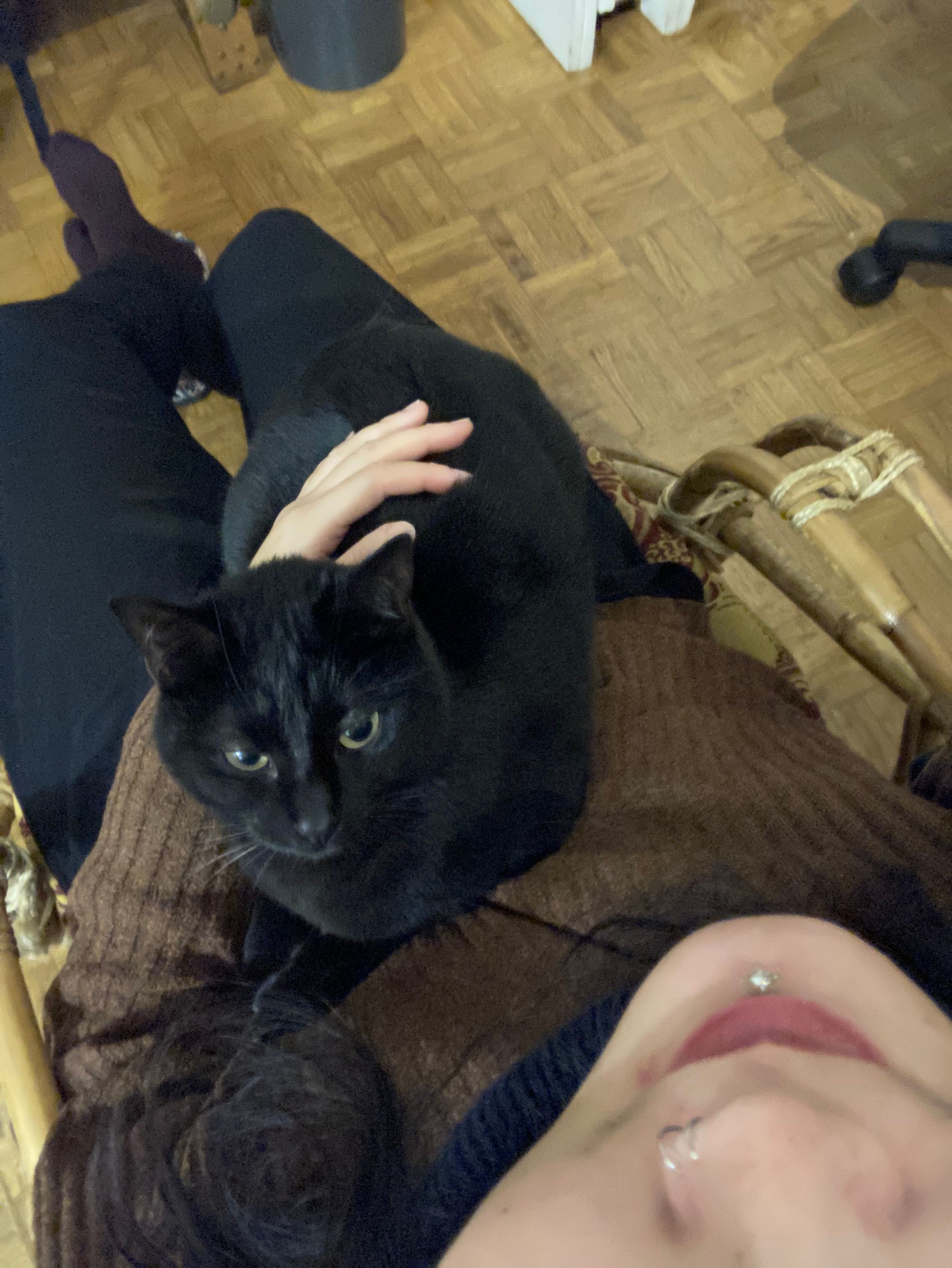 image-11