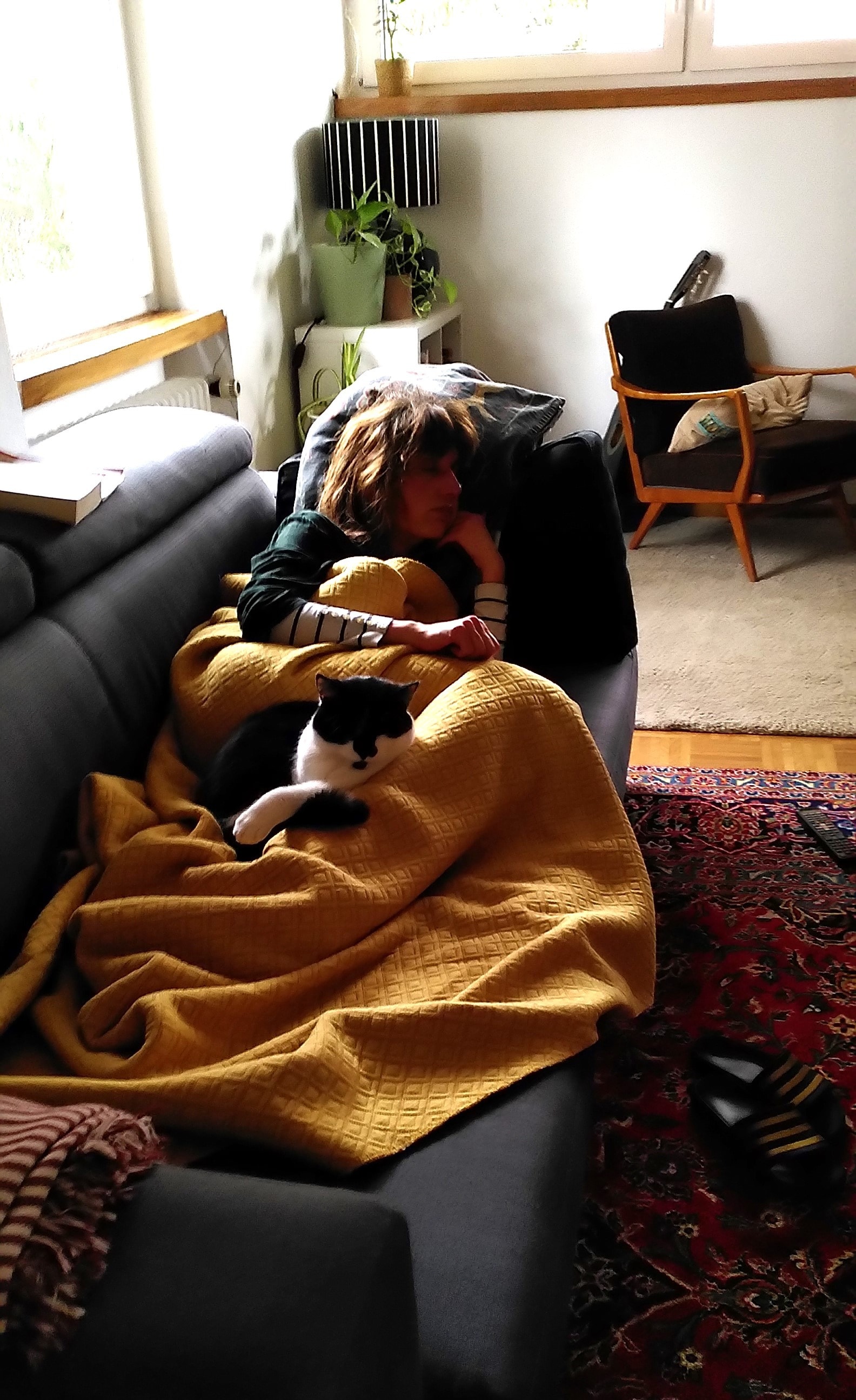 image-6
