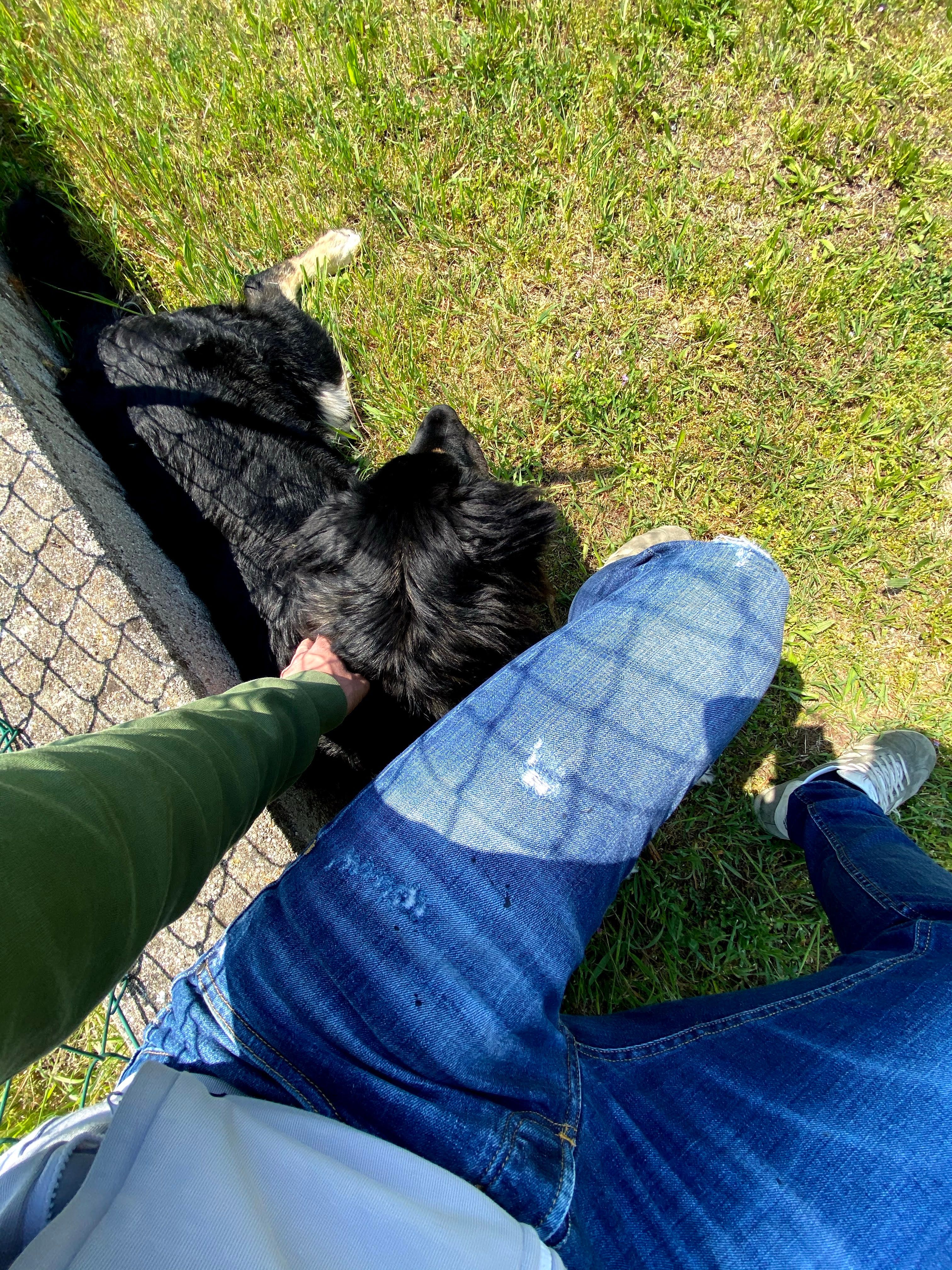 image-5