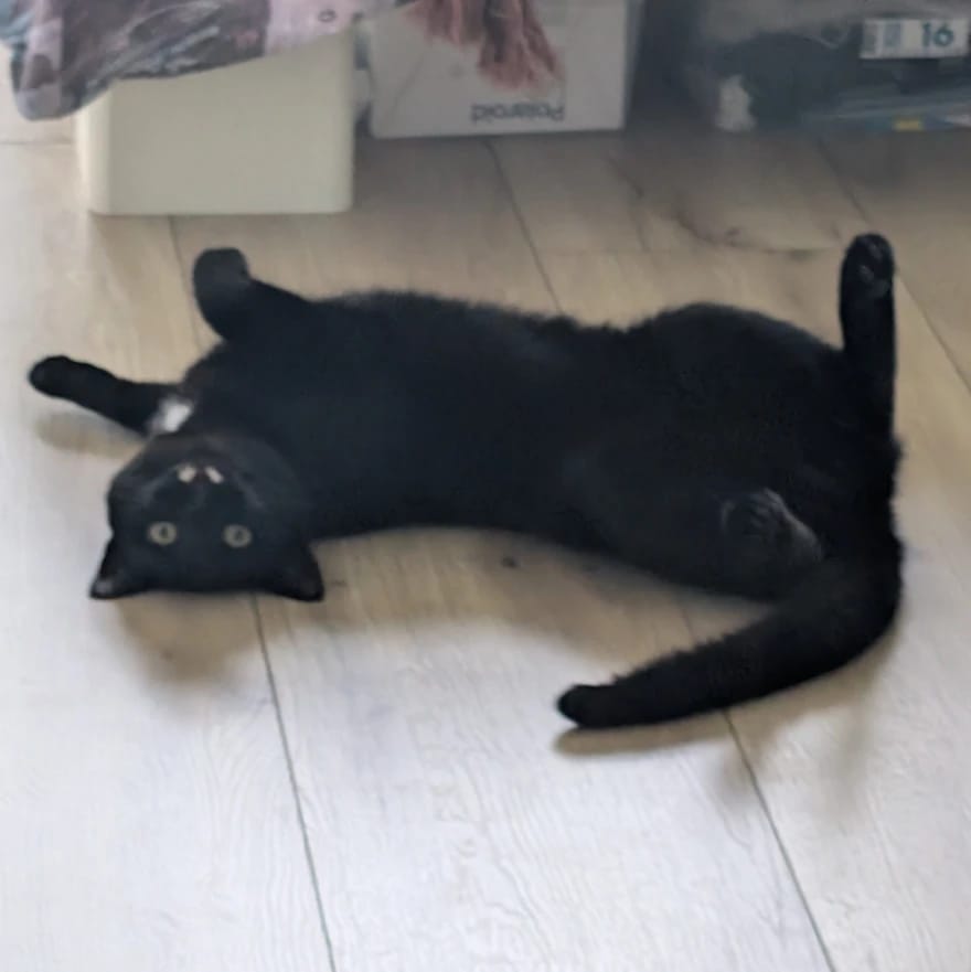 BB