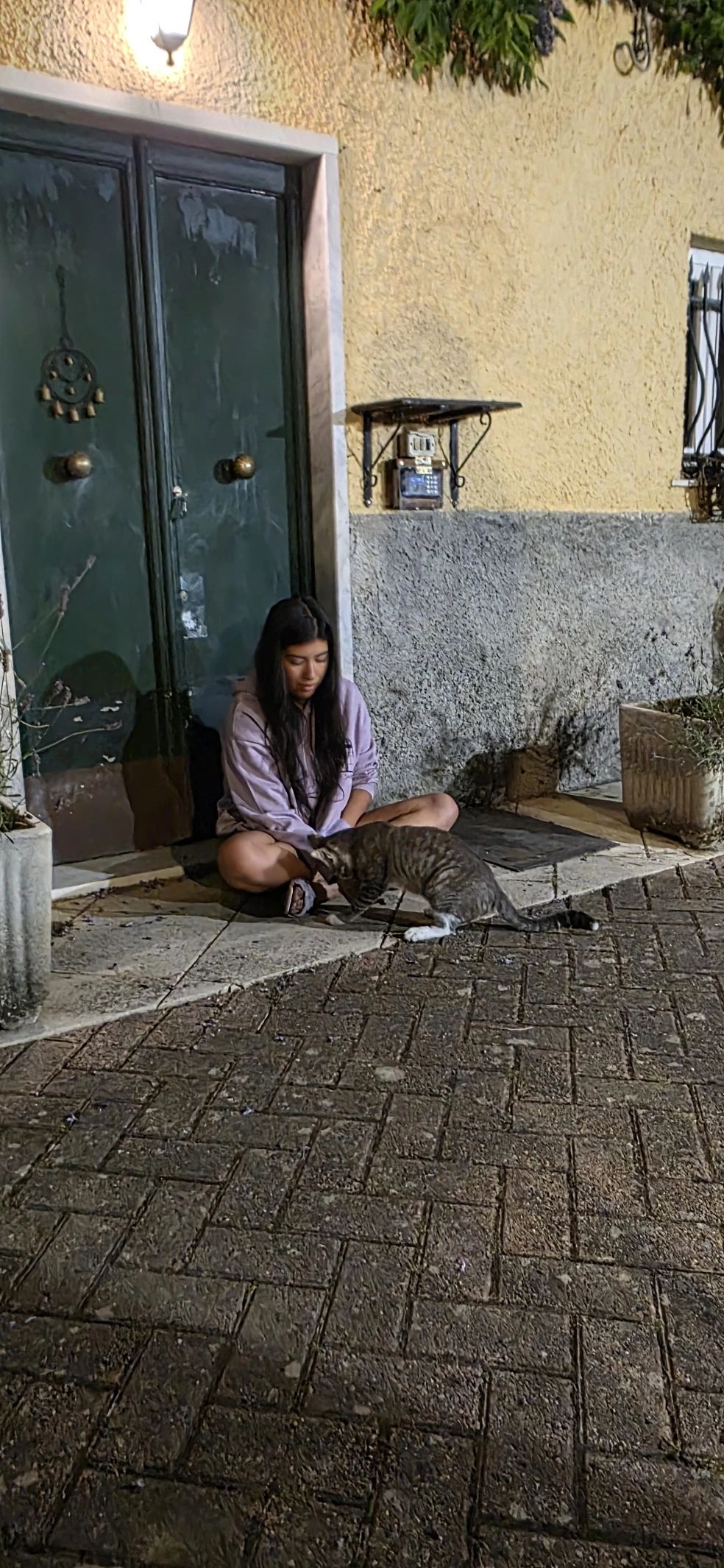 image-6