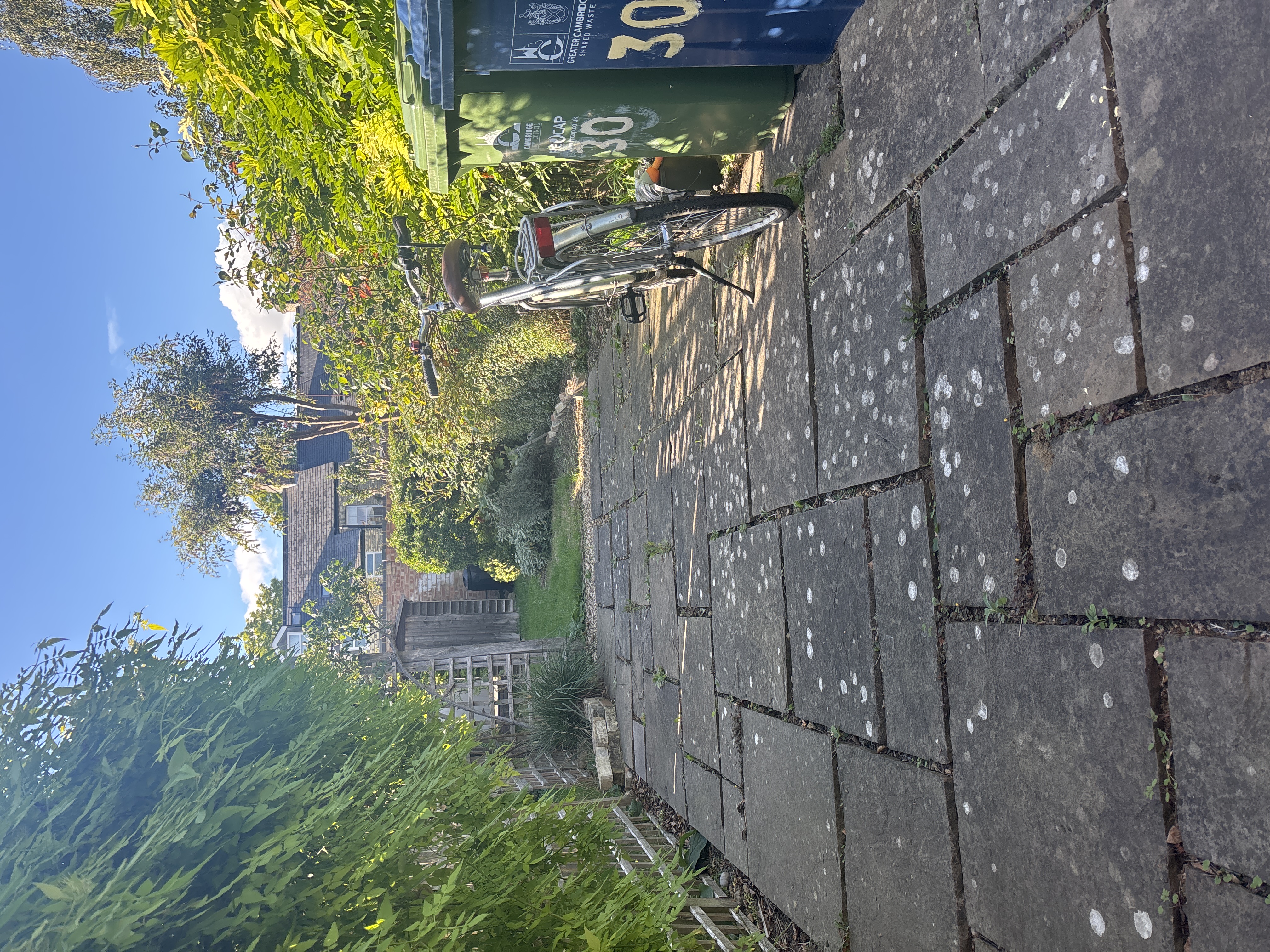image-9