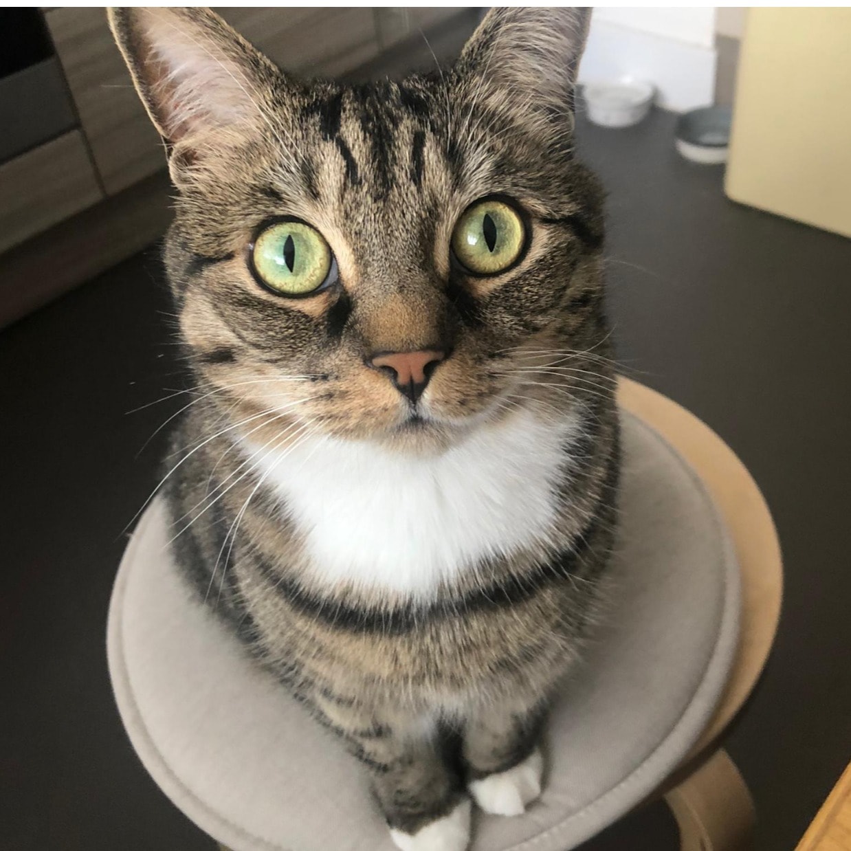 Mia