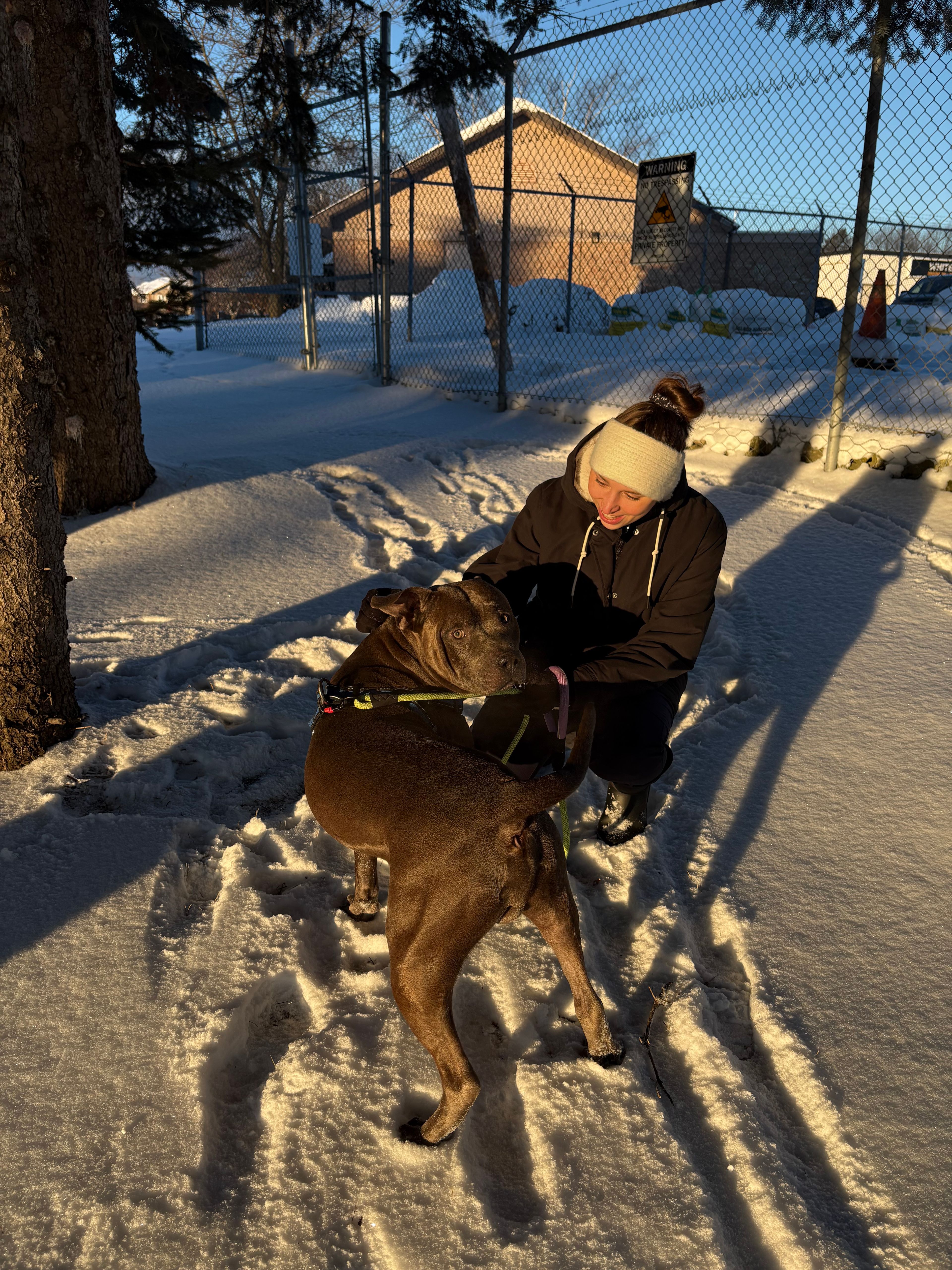 image-8
