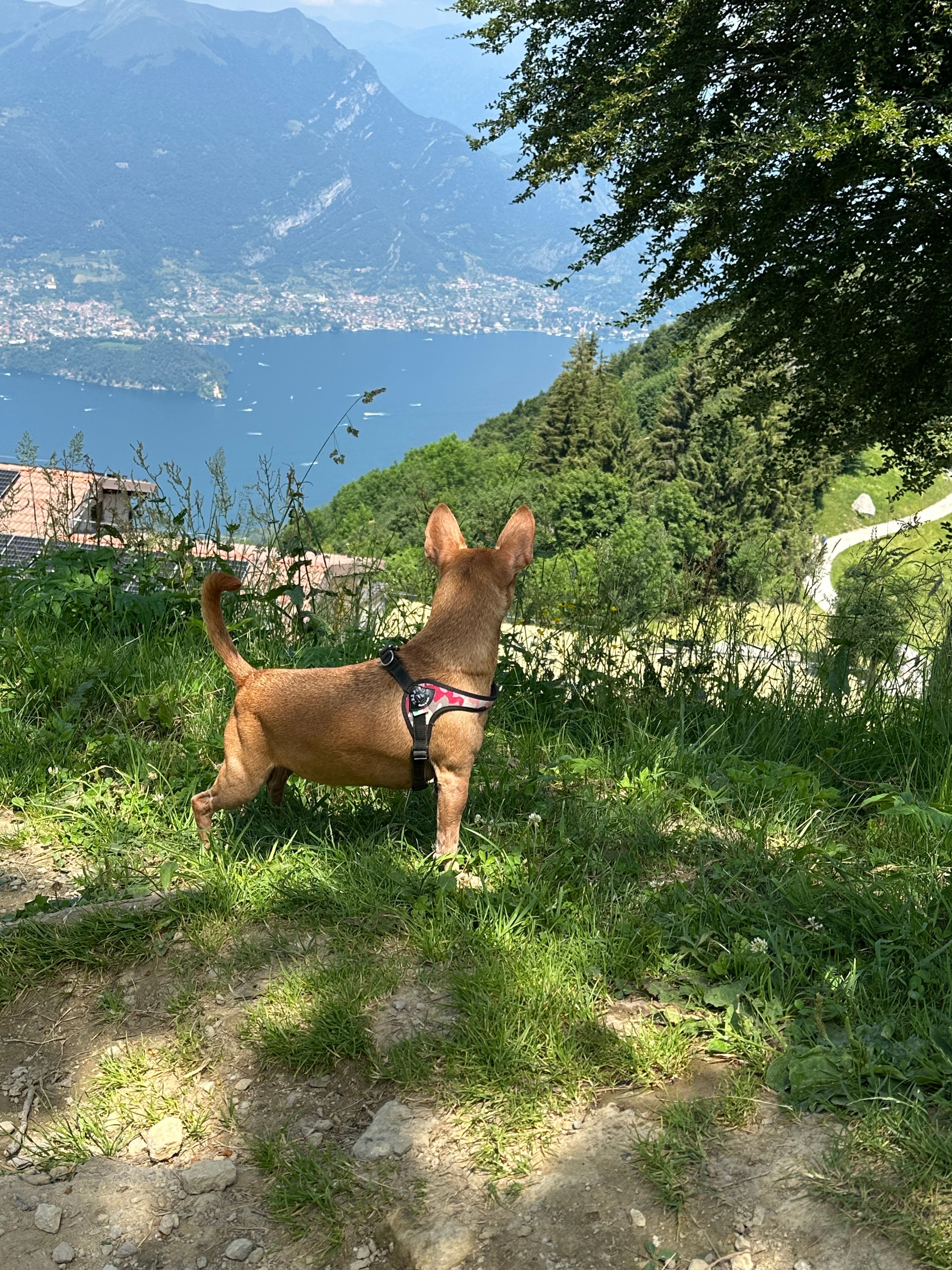 image-5