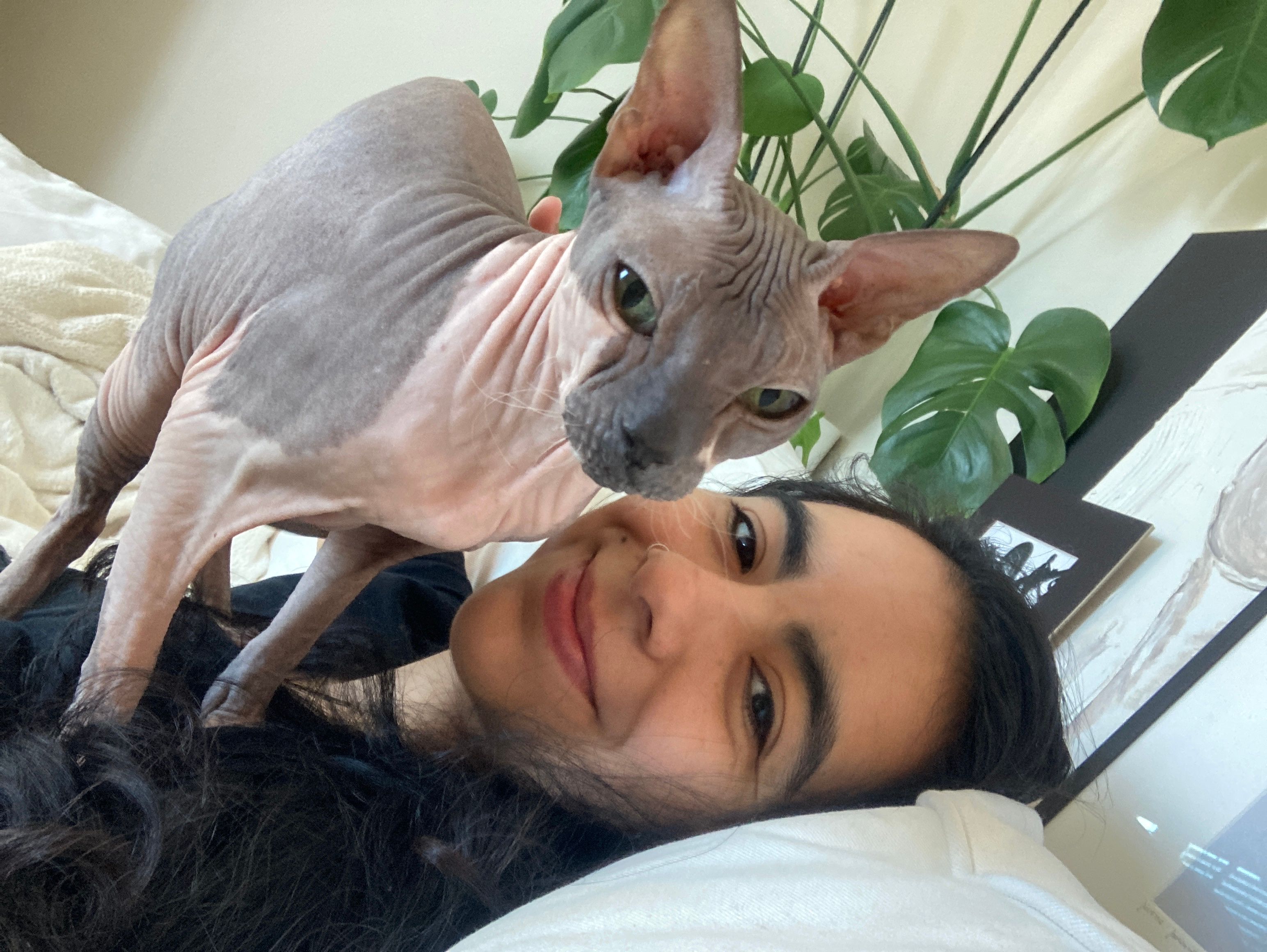 image-6