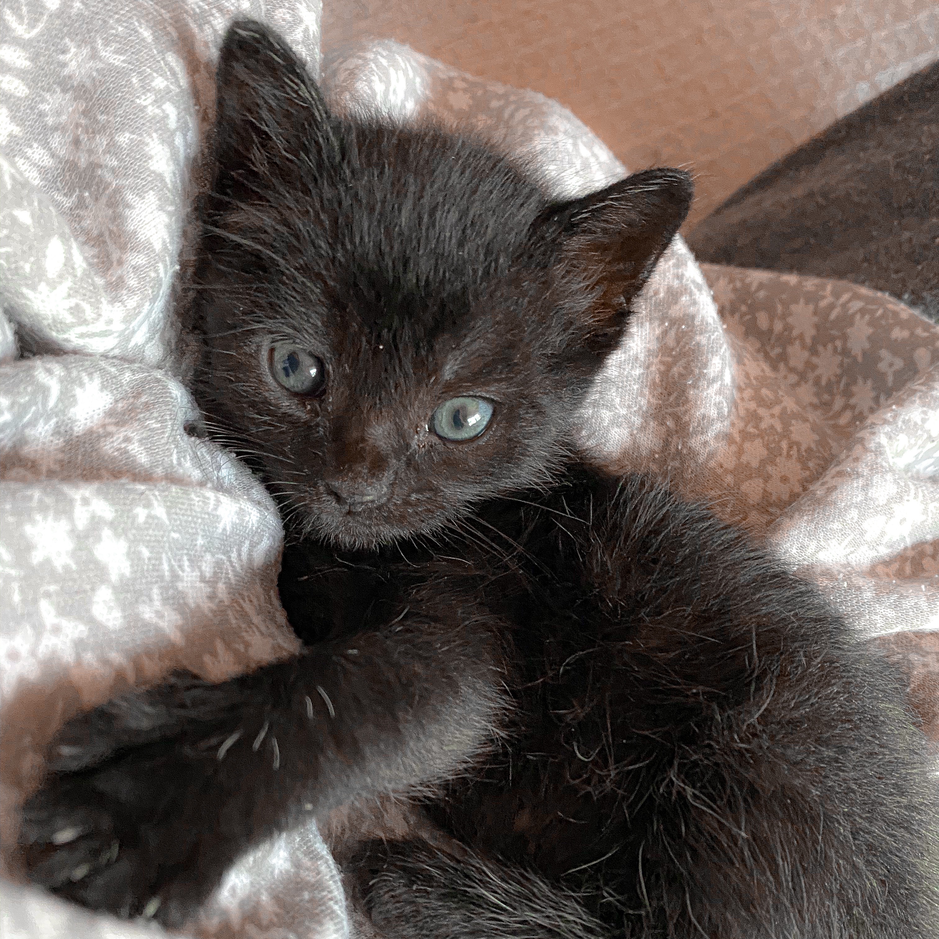 Salem