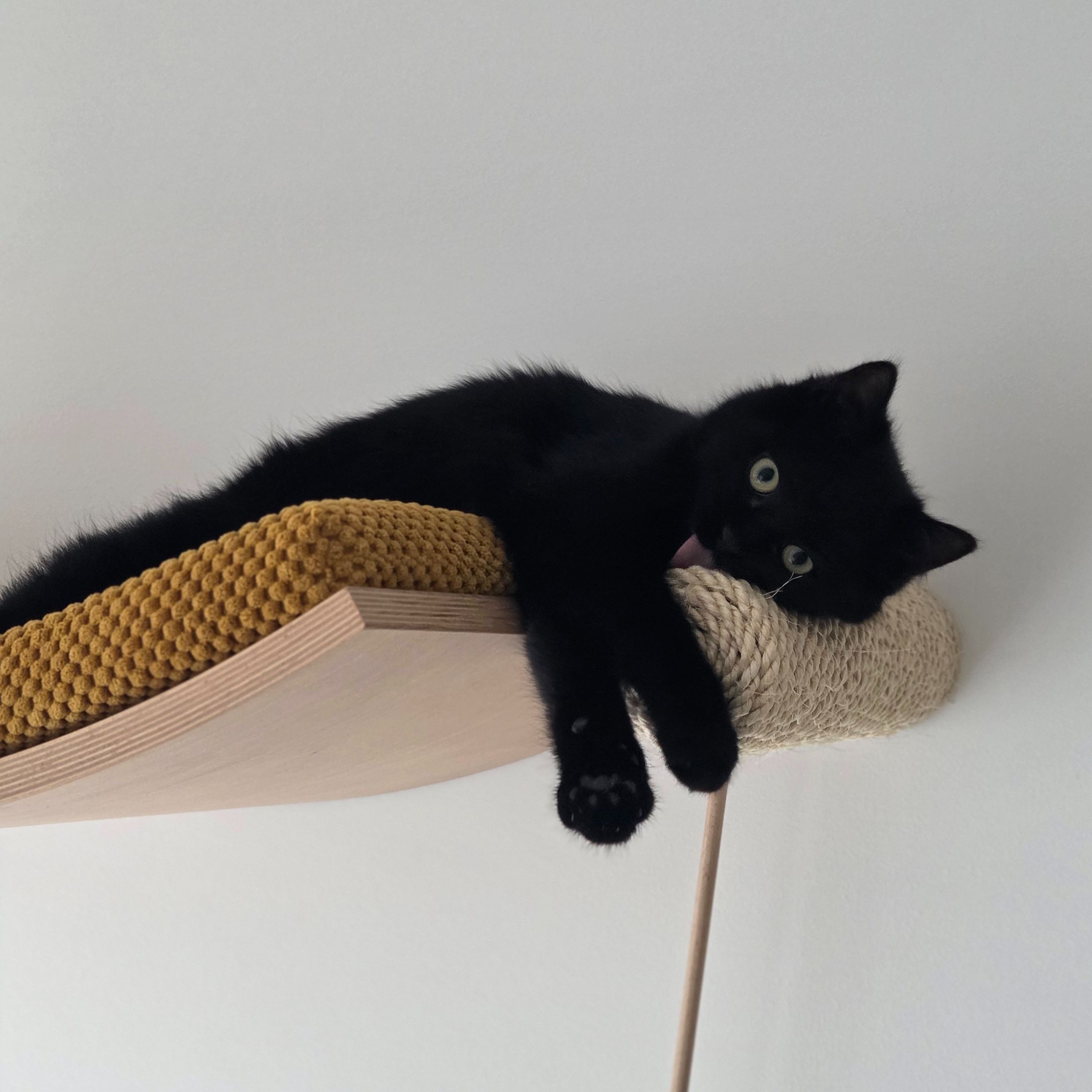Mimi
