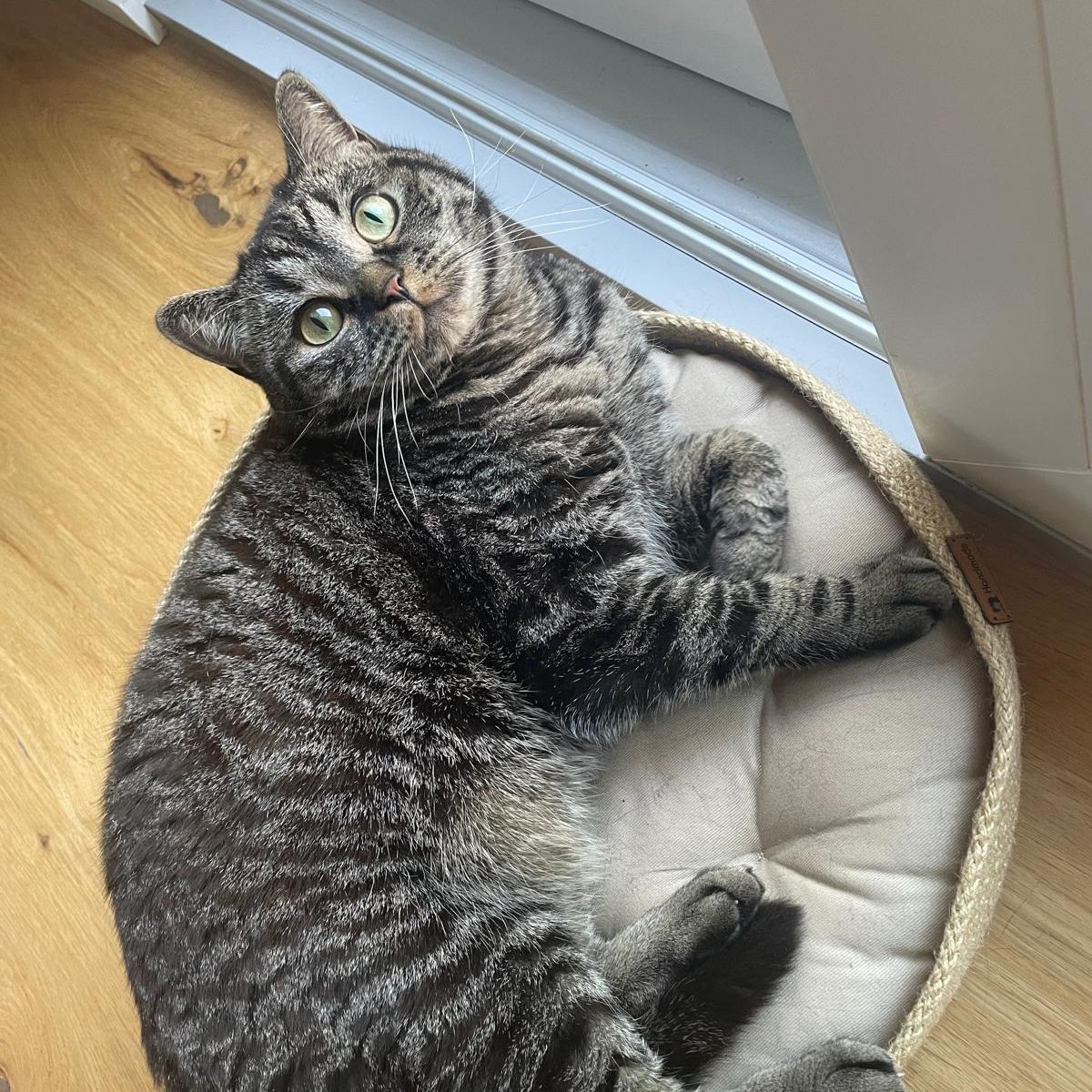 Sammy