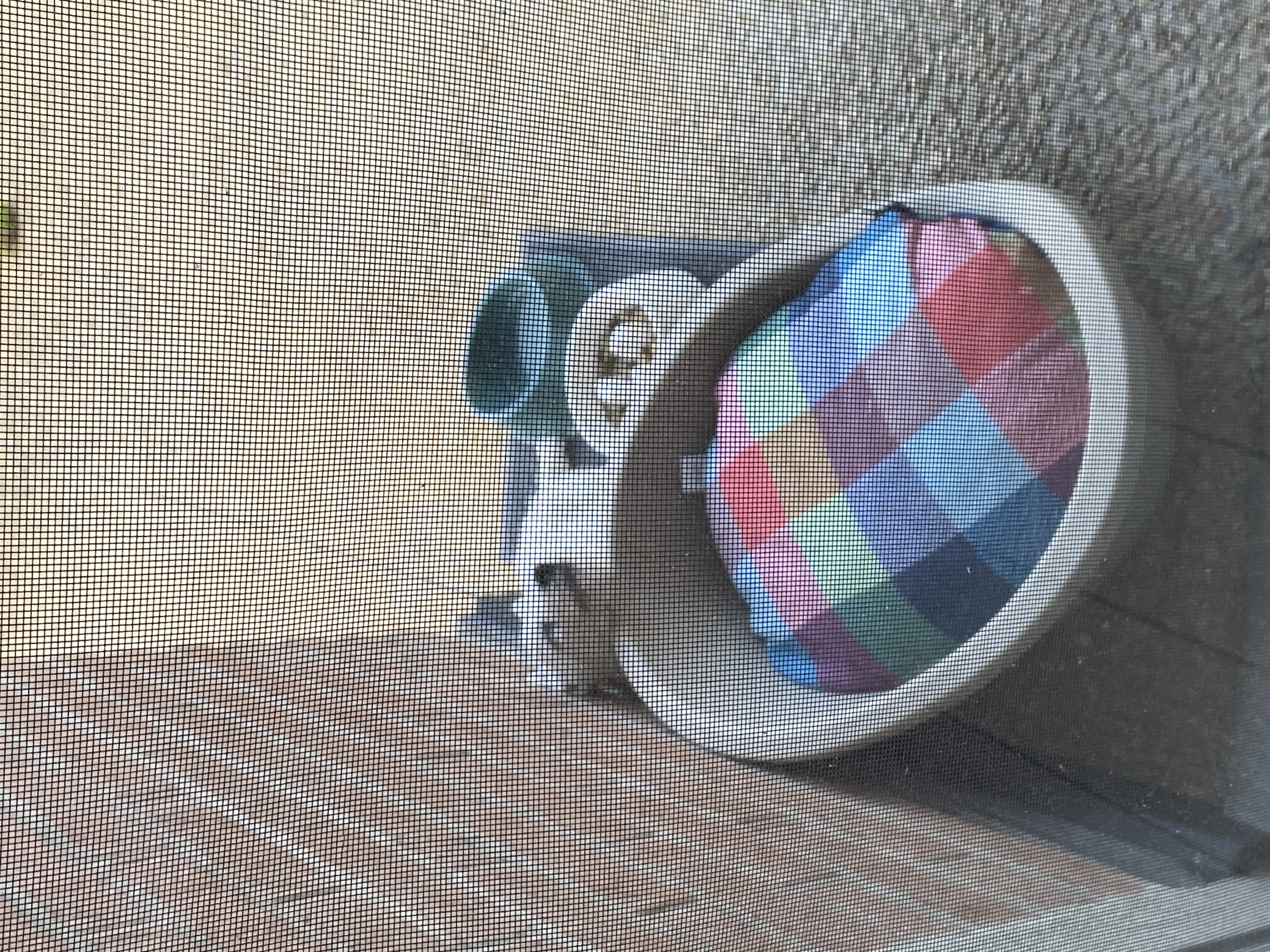 image-10