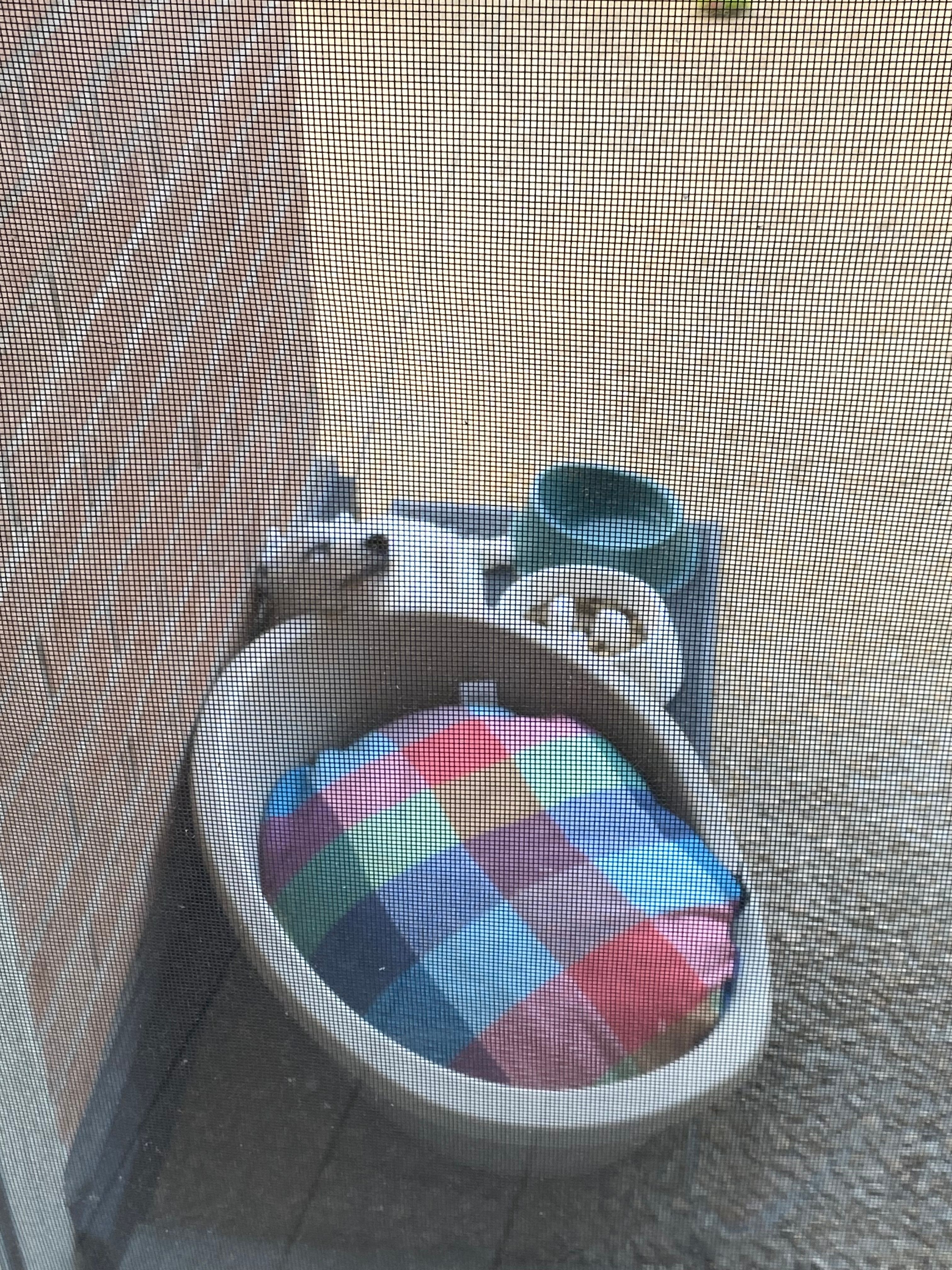 image-10