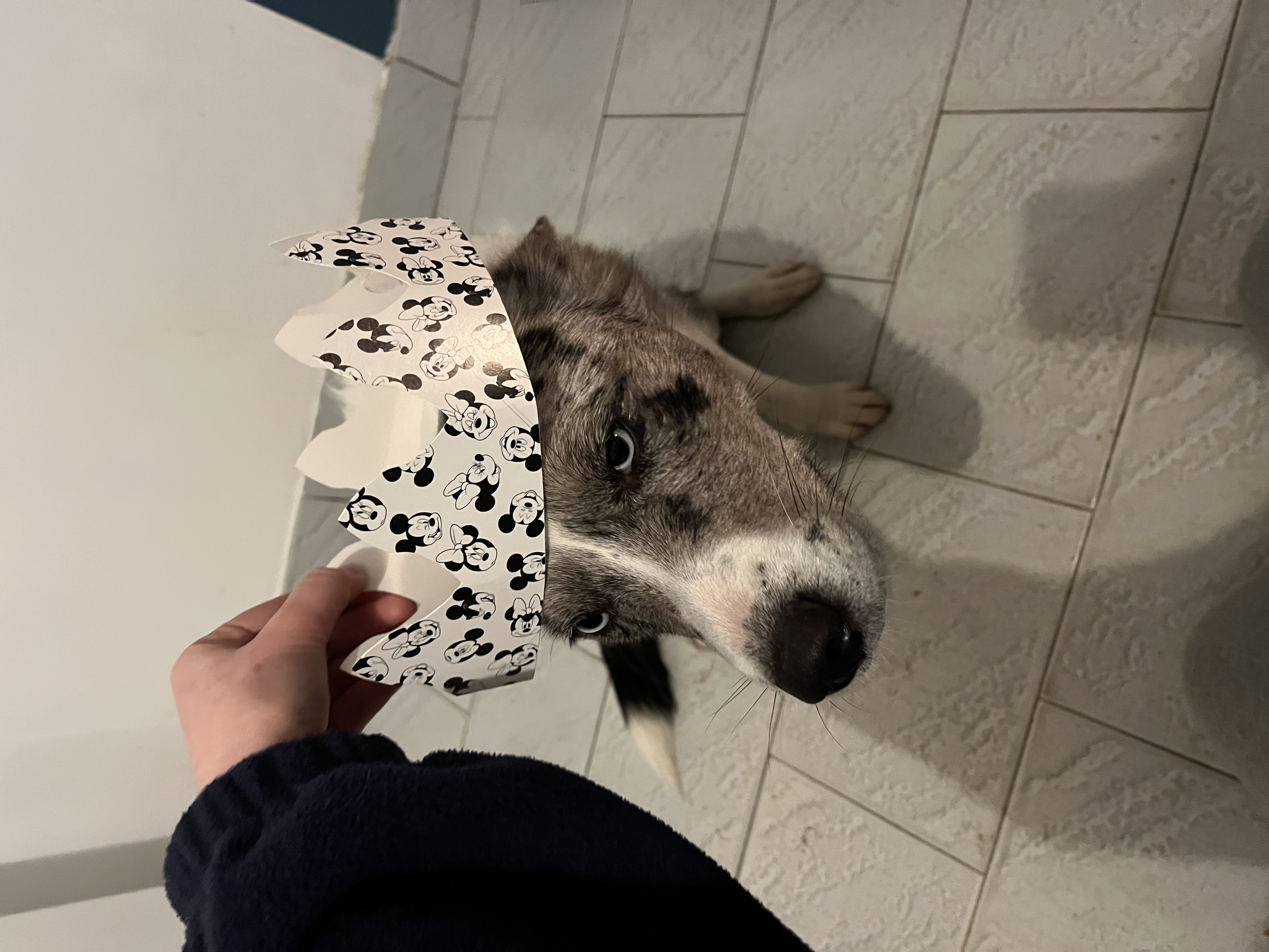 image-6