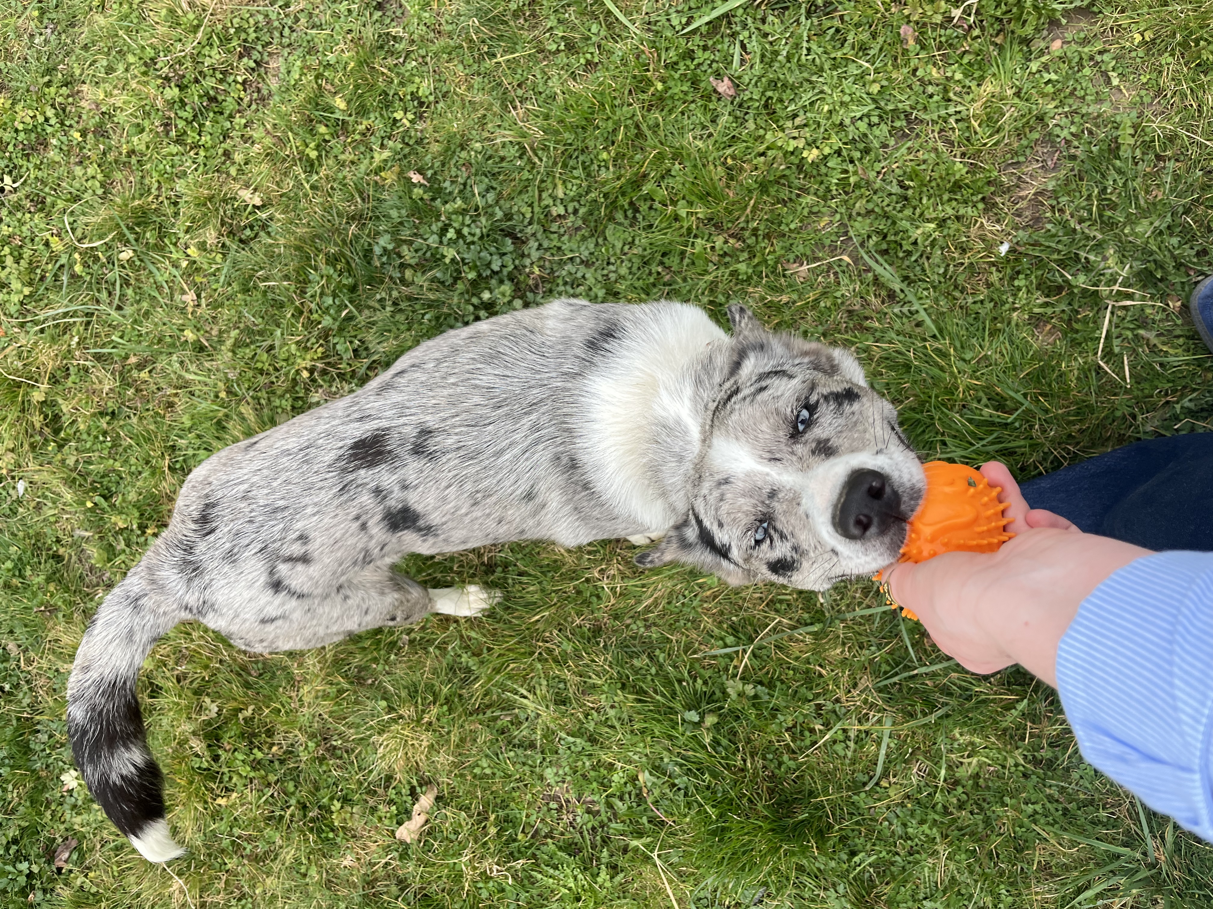 image-5
