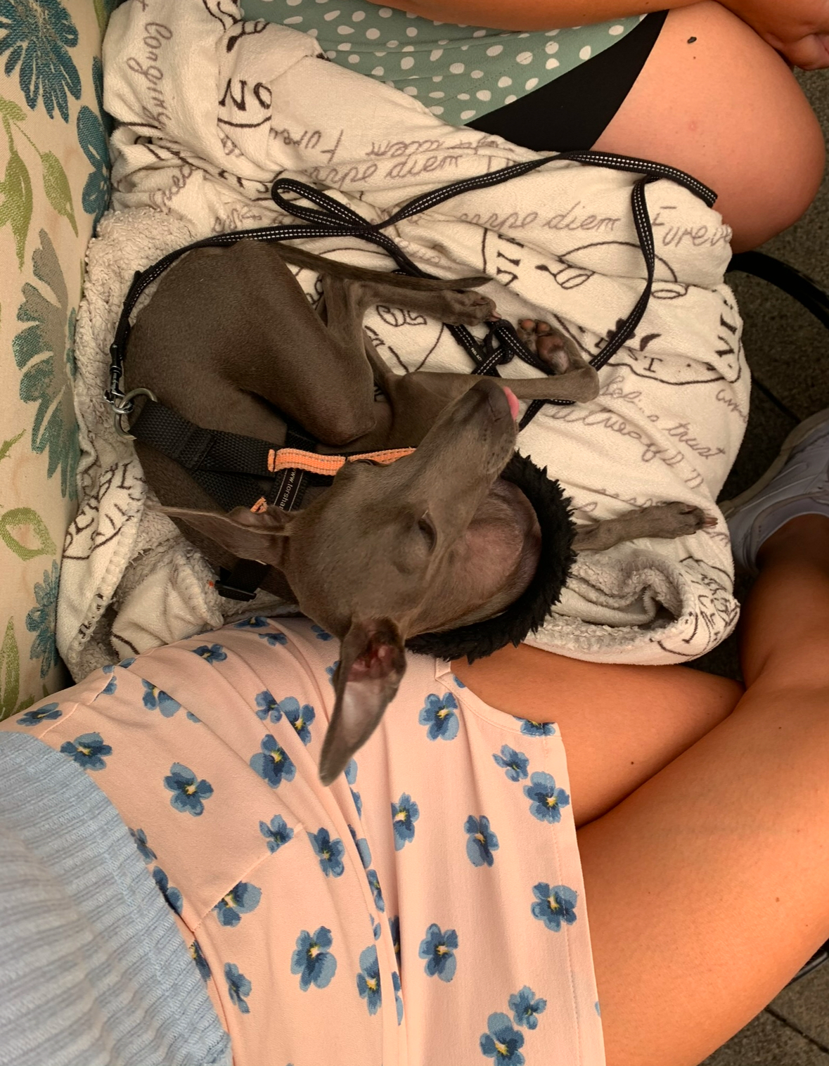 image-6