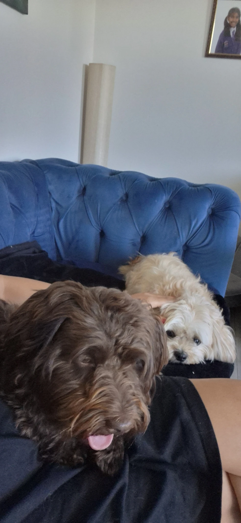image-5
