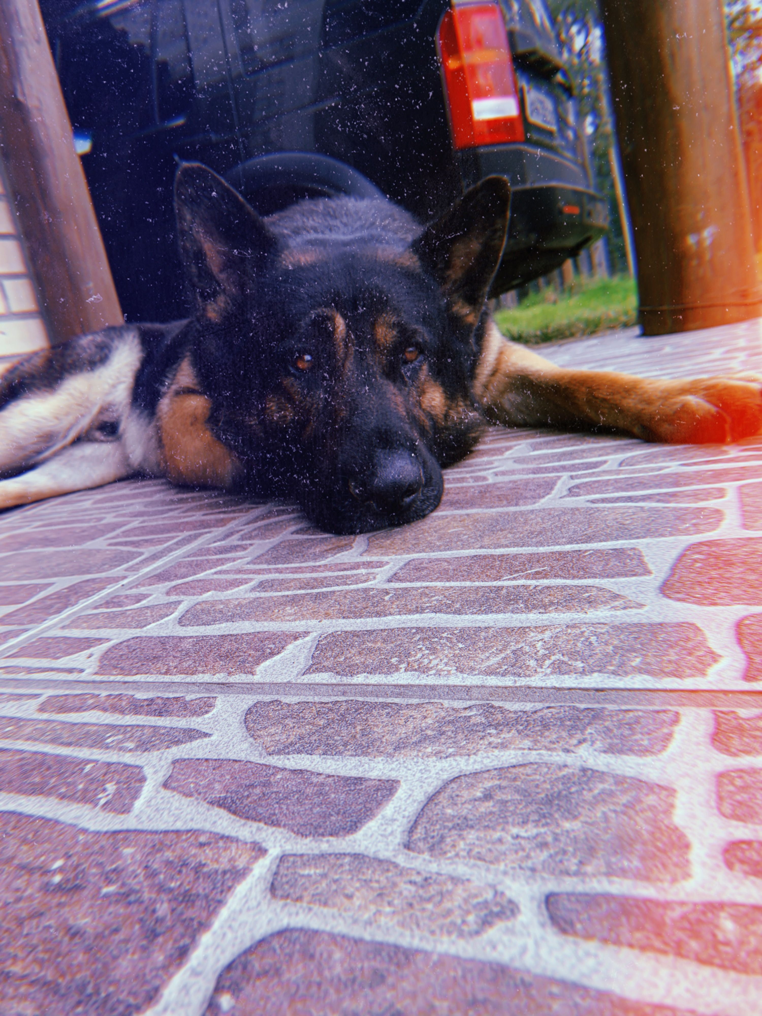 image-8