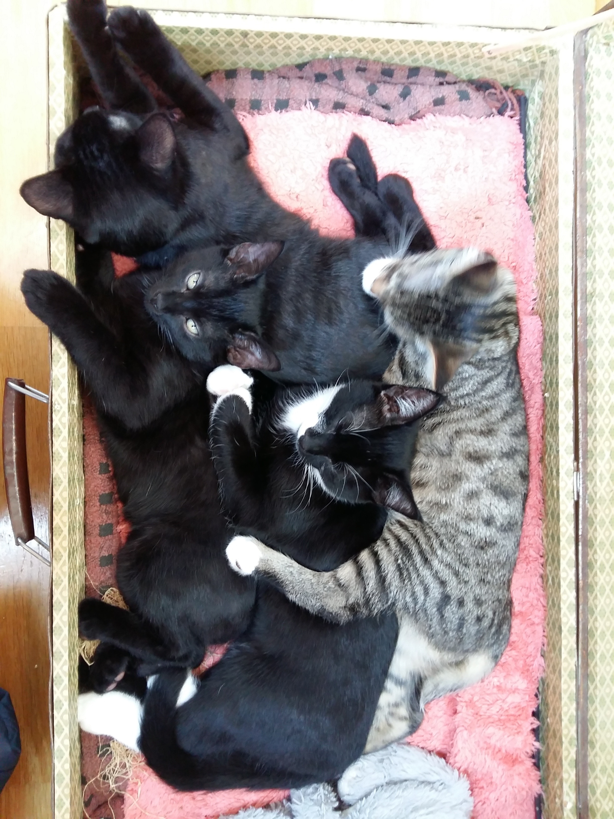 image-6