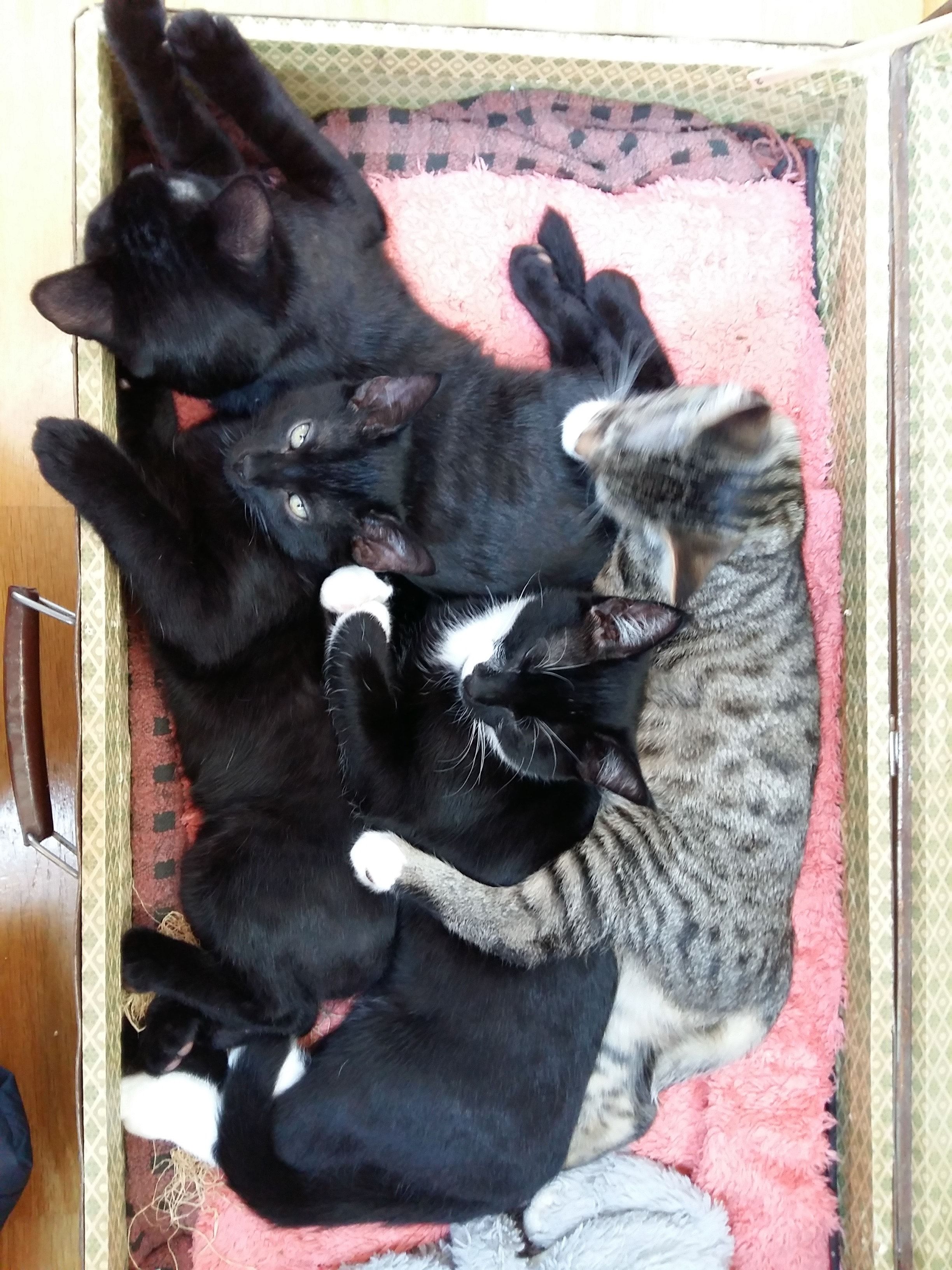 image-6
