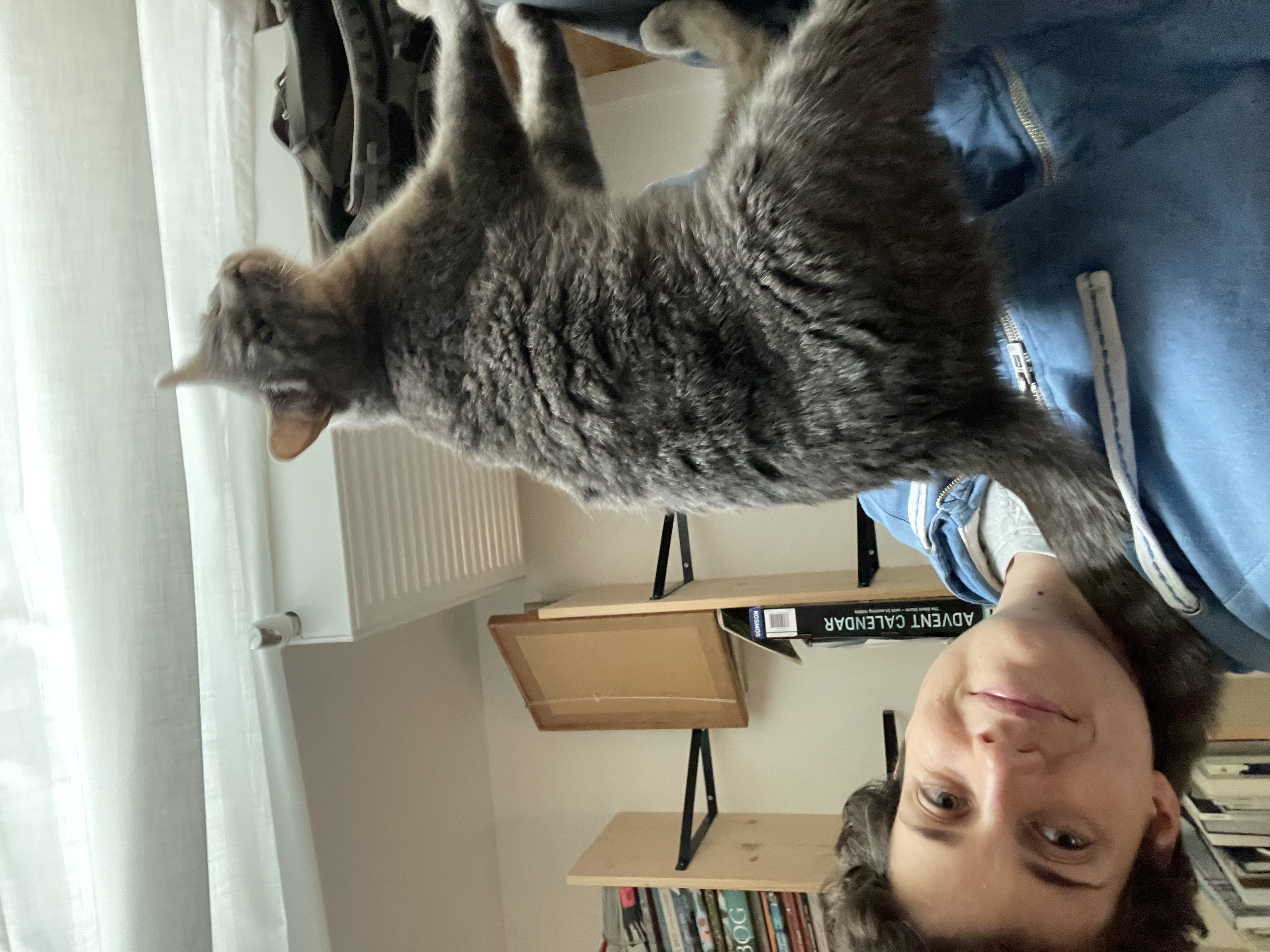 image-12