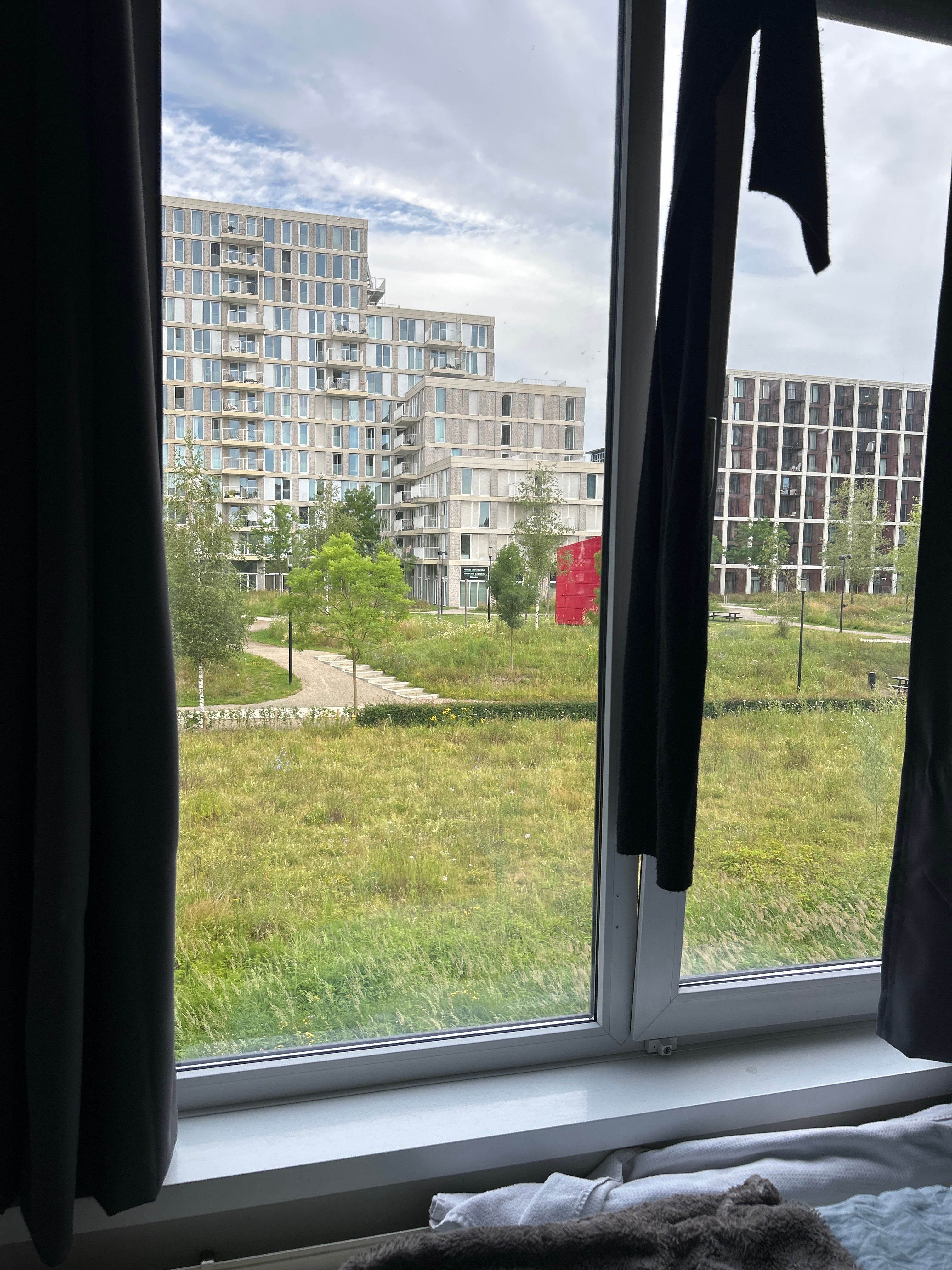 image-8