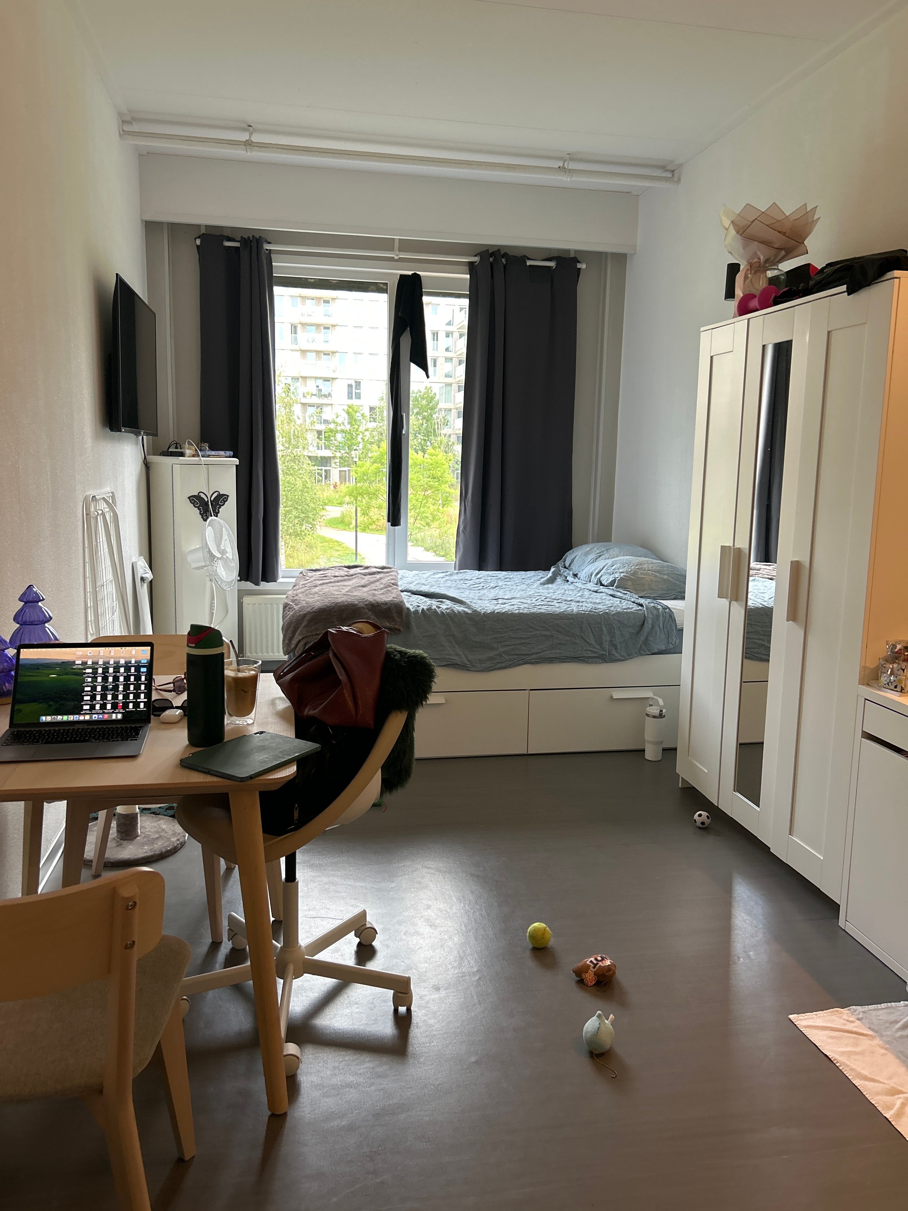 image-9