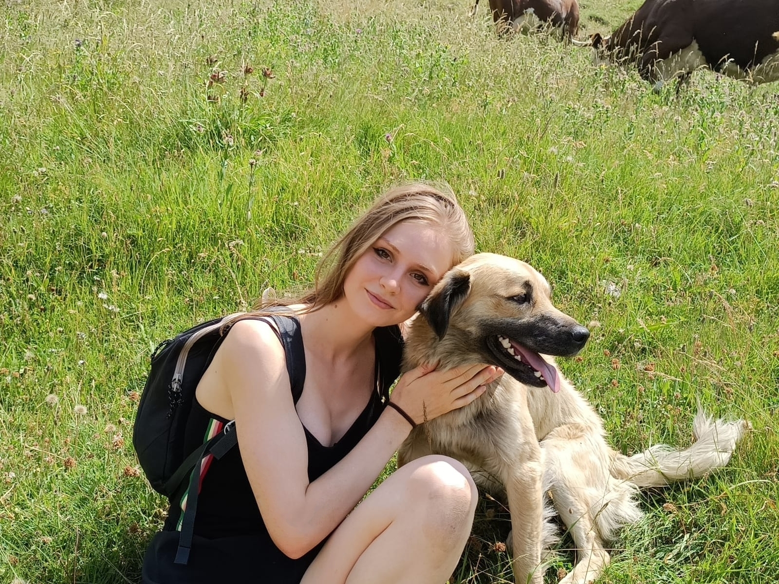 image-6